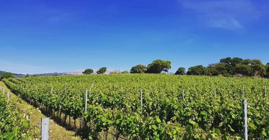 /api/file/public/264308/25364