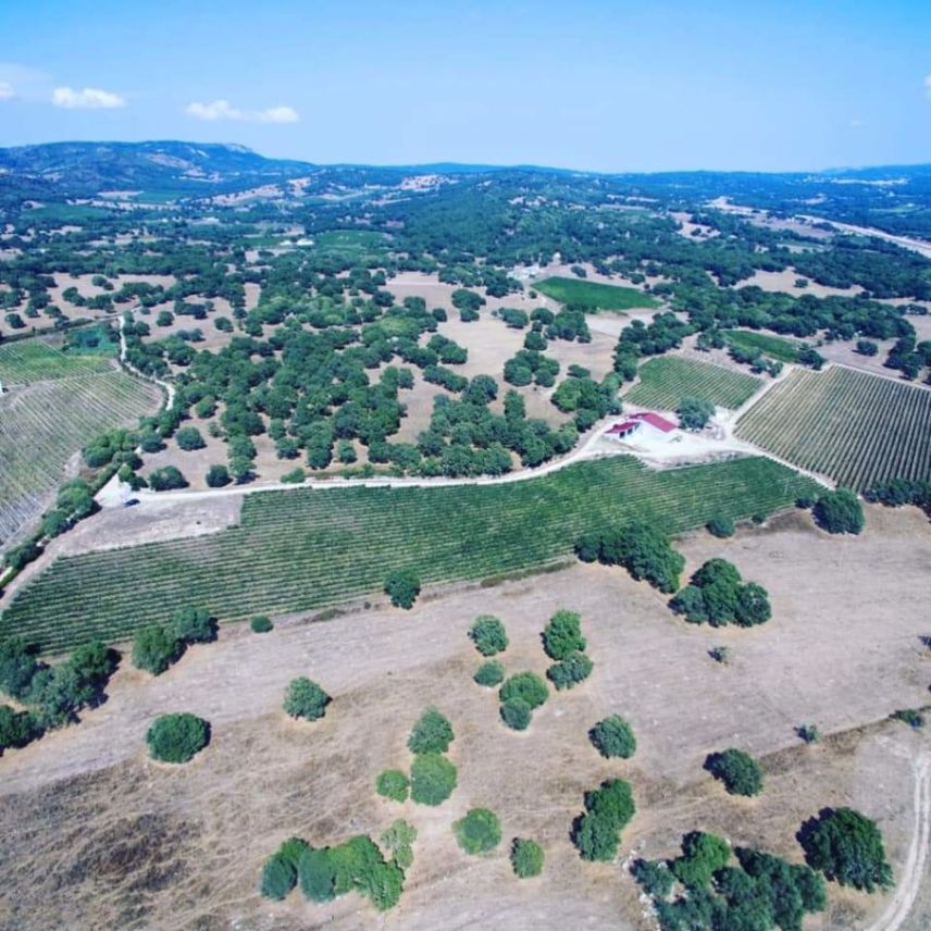 /api/file/public/264308/25365