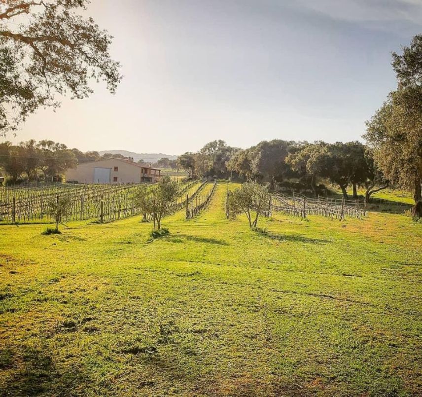 /api/file/public/264308/25367