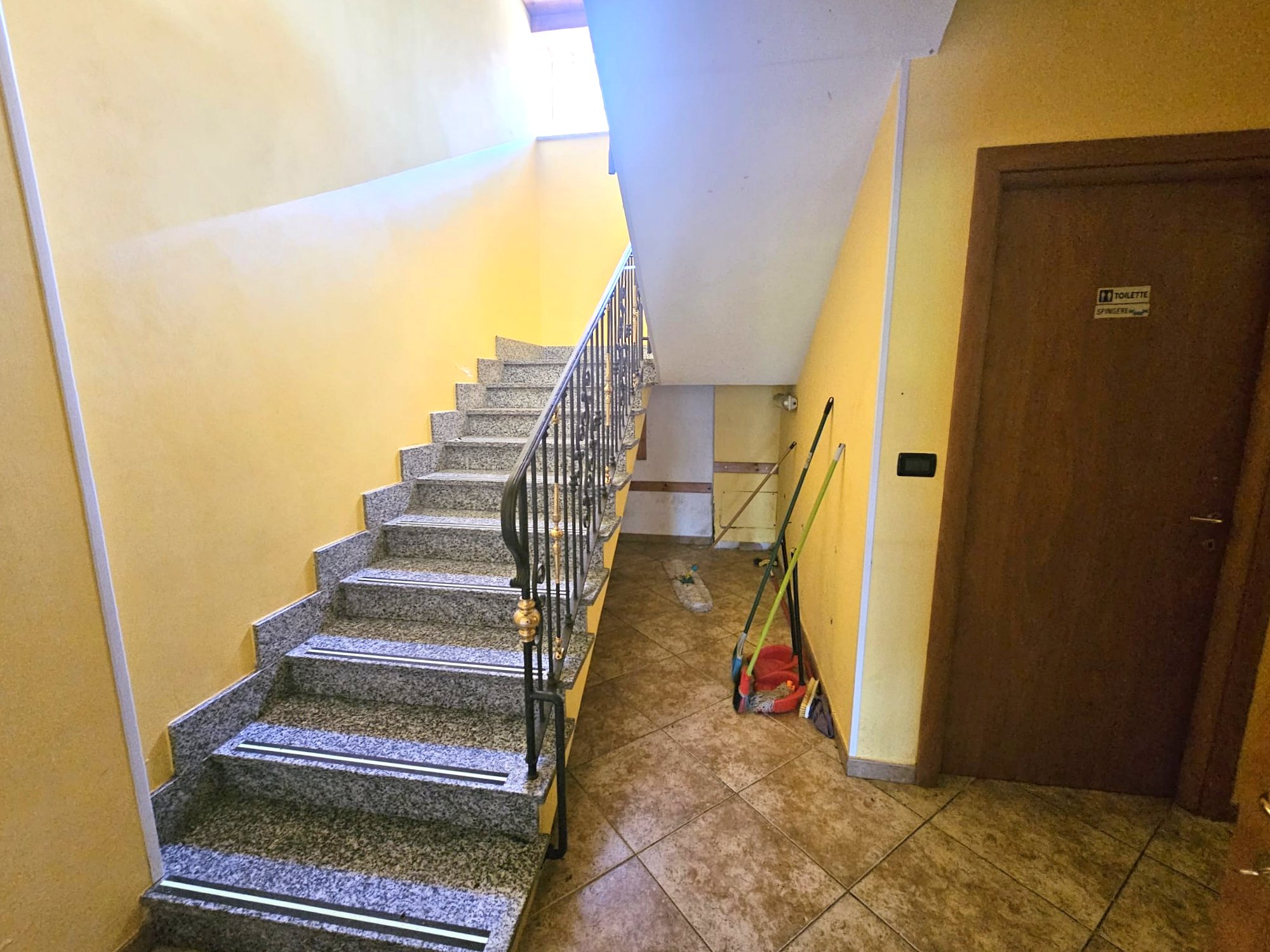 /api/file/public/264420/25665