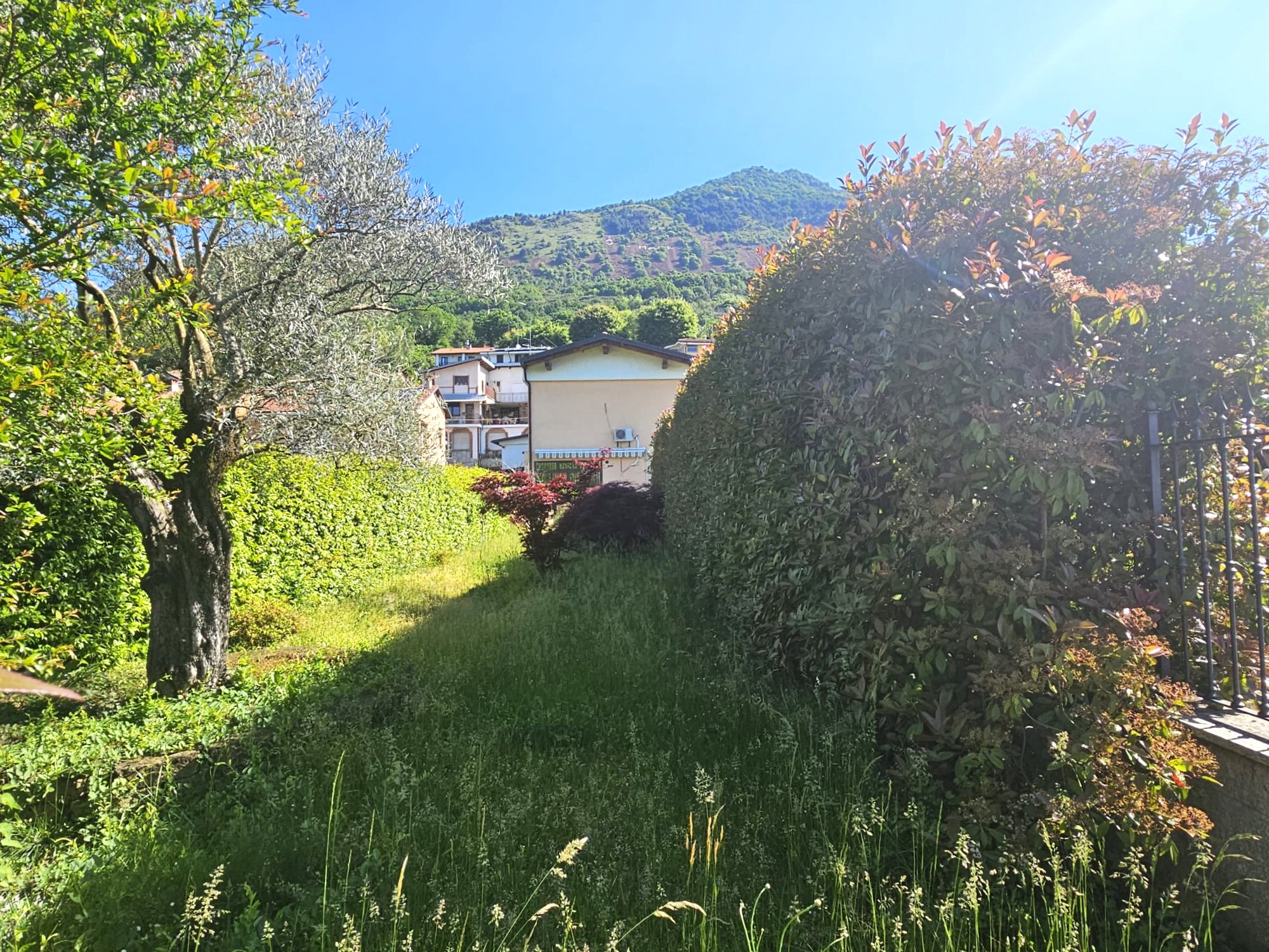 /api/file/public/264420/25682