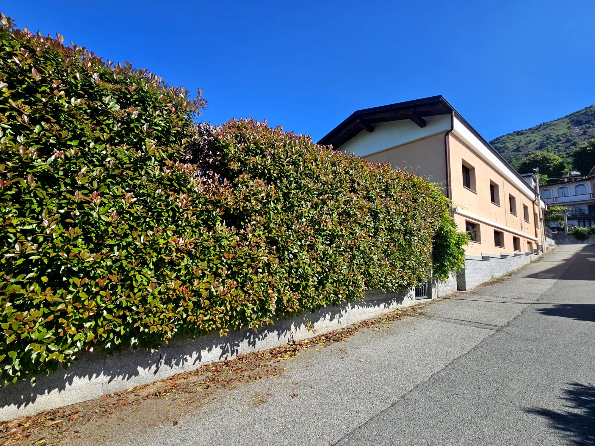 /api/file/public/264420/25683