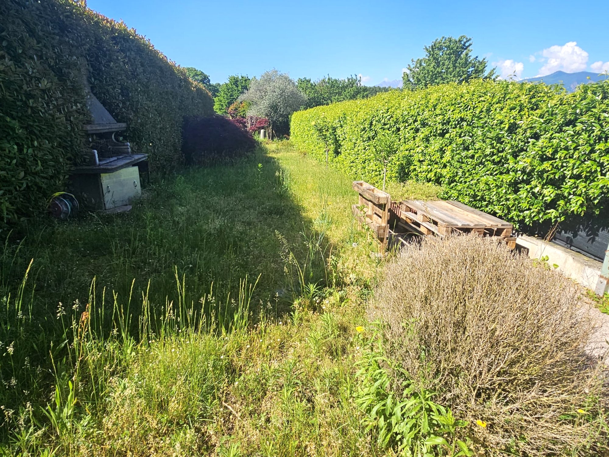 /api/file/public/264420/25684