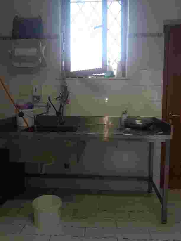 /api/file/public/264438/26056