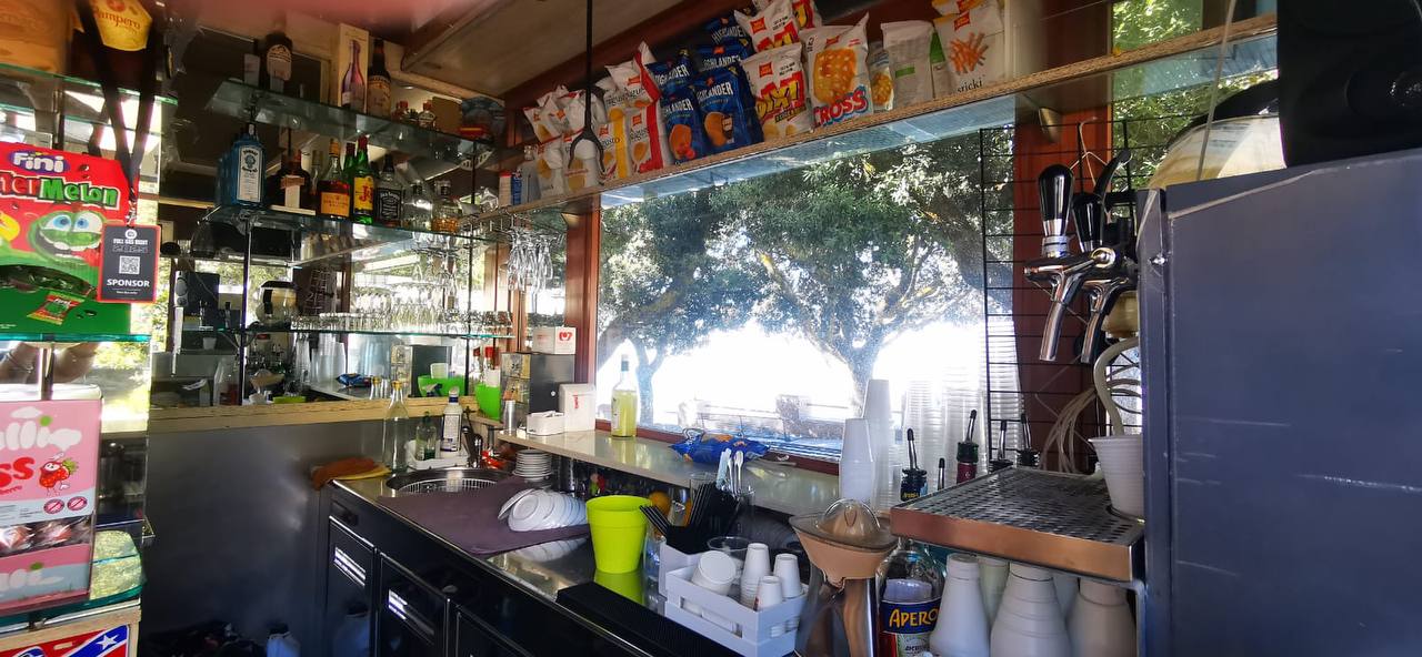 /api/file/public/264441/26000