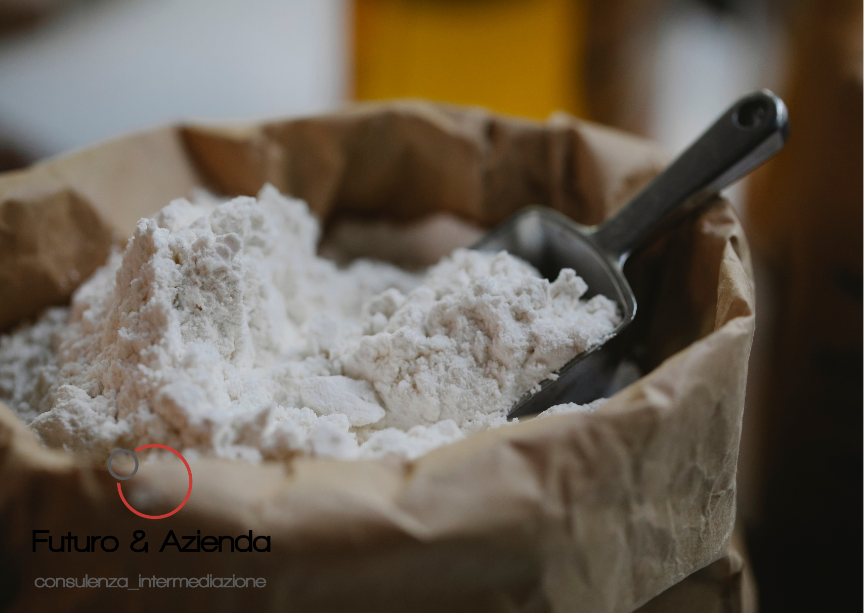 /api/file/public/264464/26060