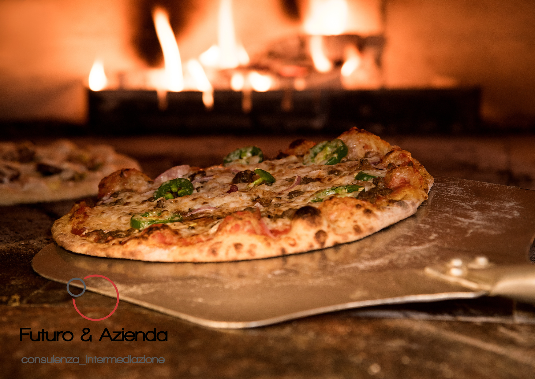 /api/file/public/264464/26066