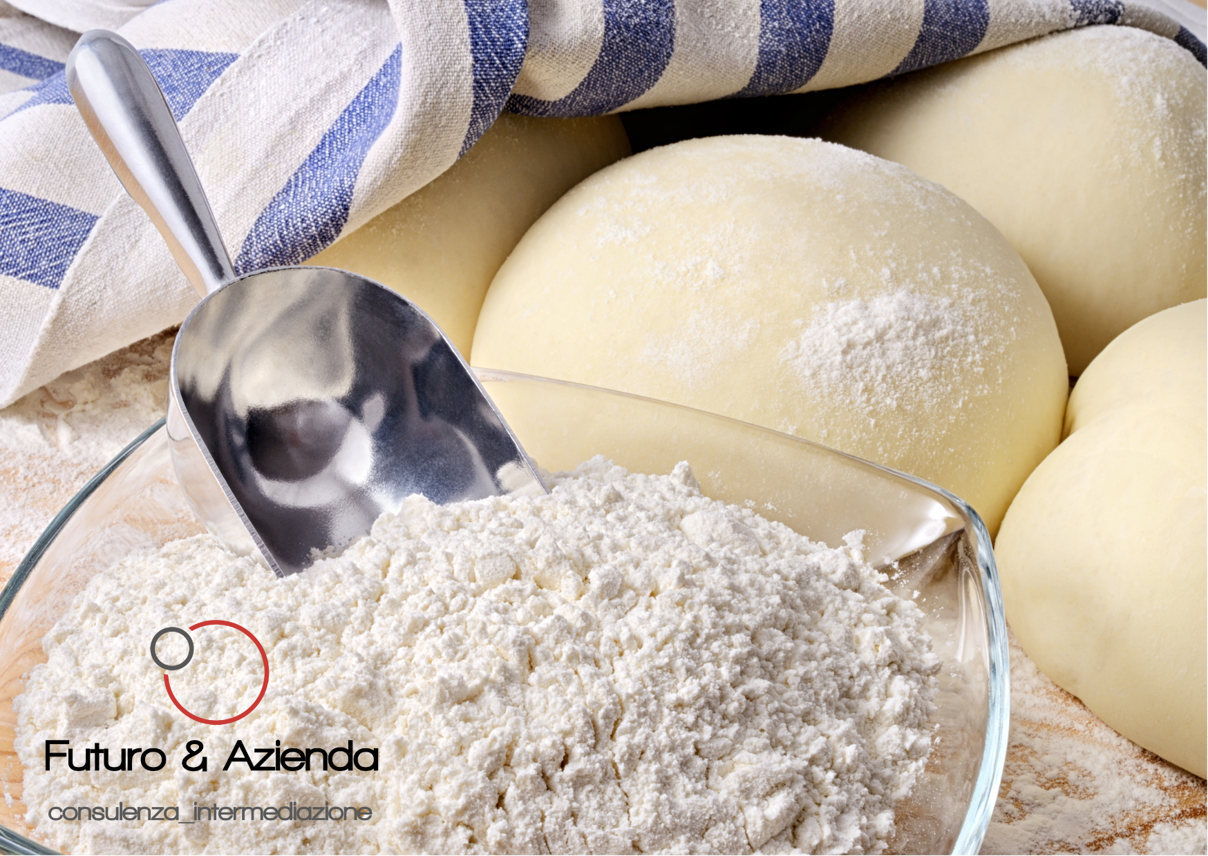 /api/file/public/264464/26068