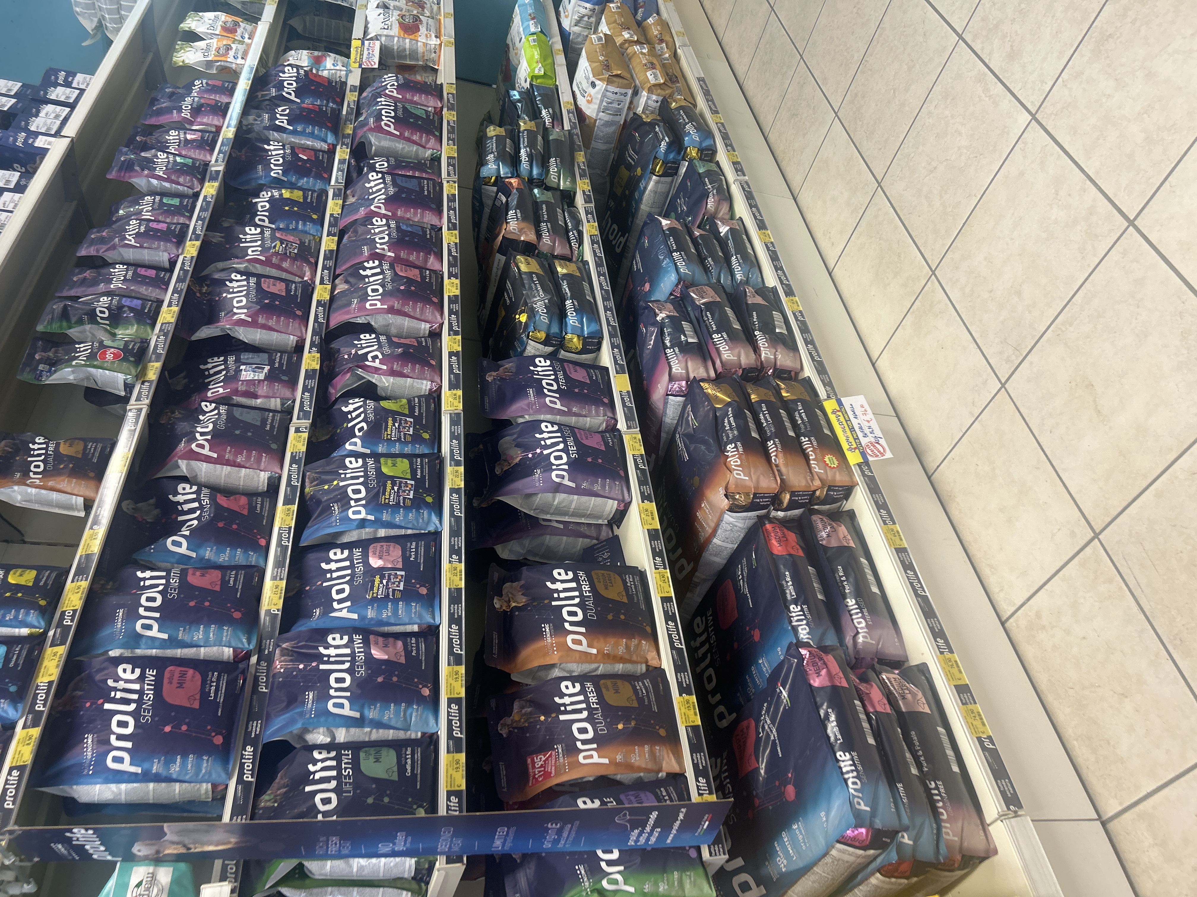 /api/file/public/264493/26207