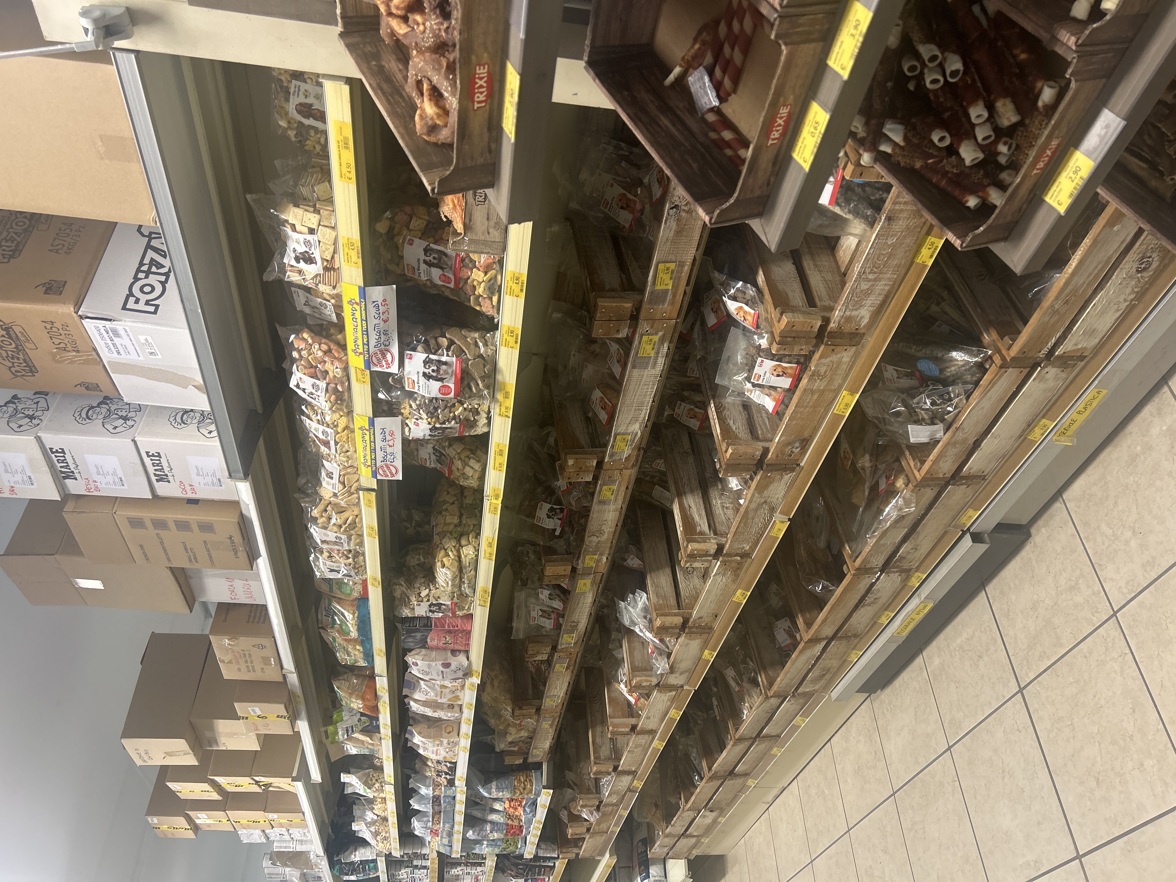 /api/file/public/264493/26208