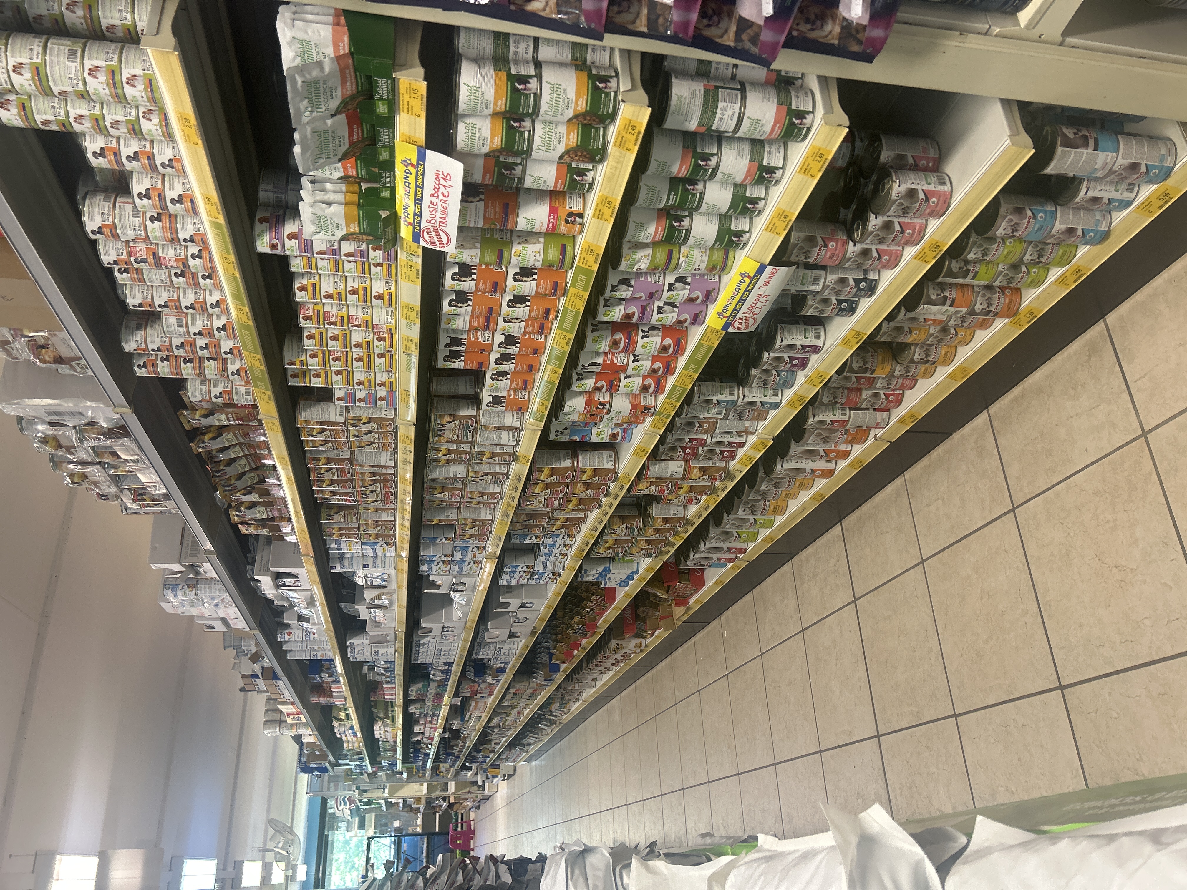 /api/file/public/264493/26209