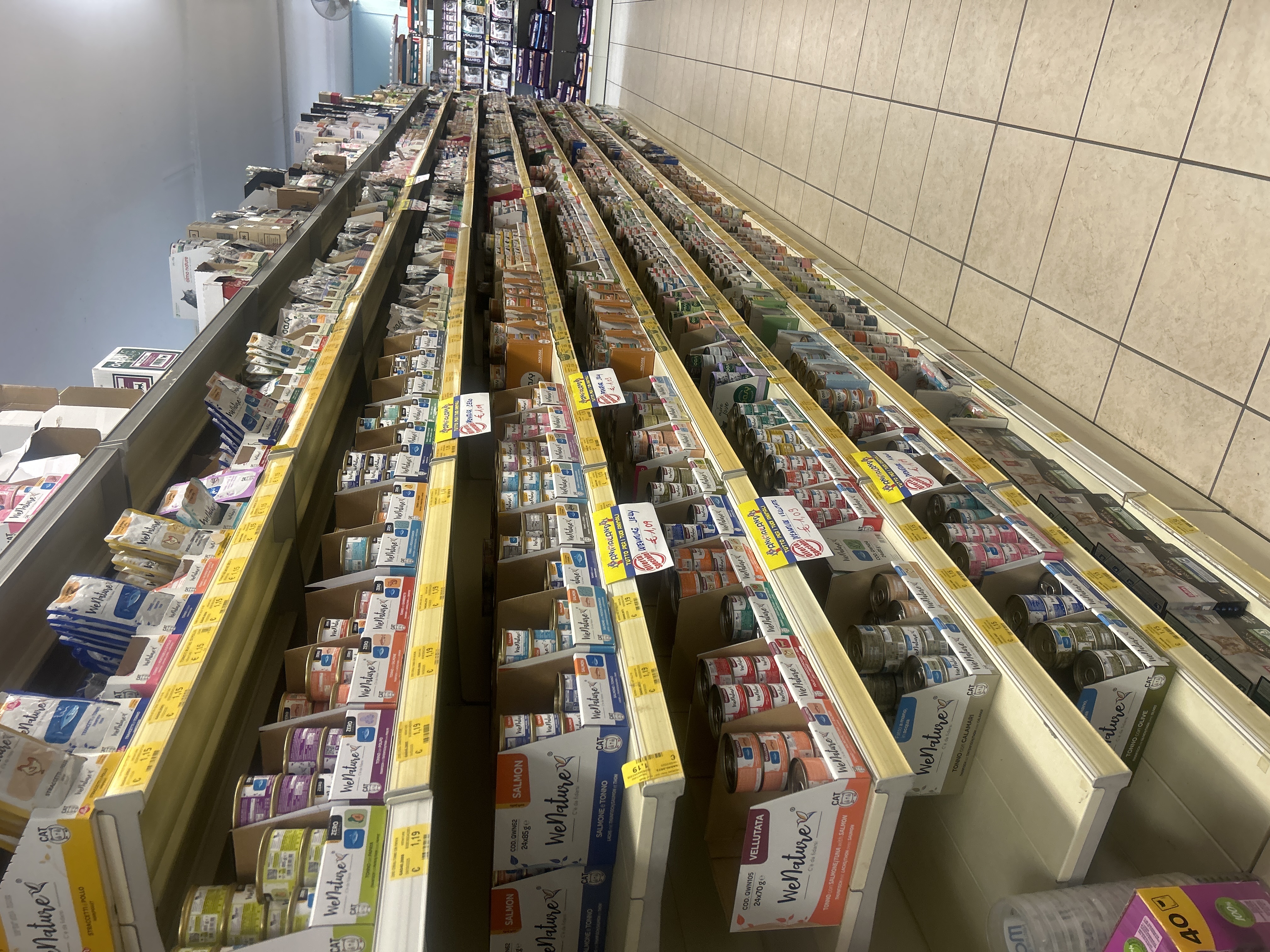 /api/file/public/264494/26174