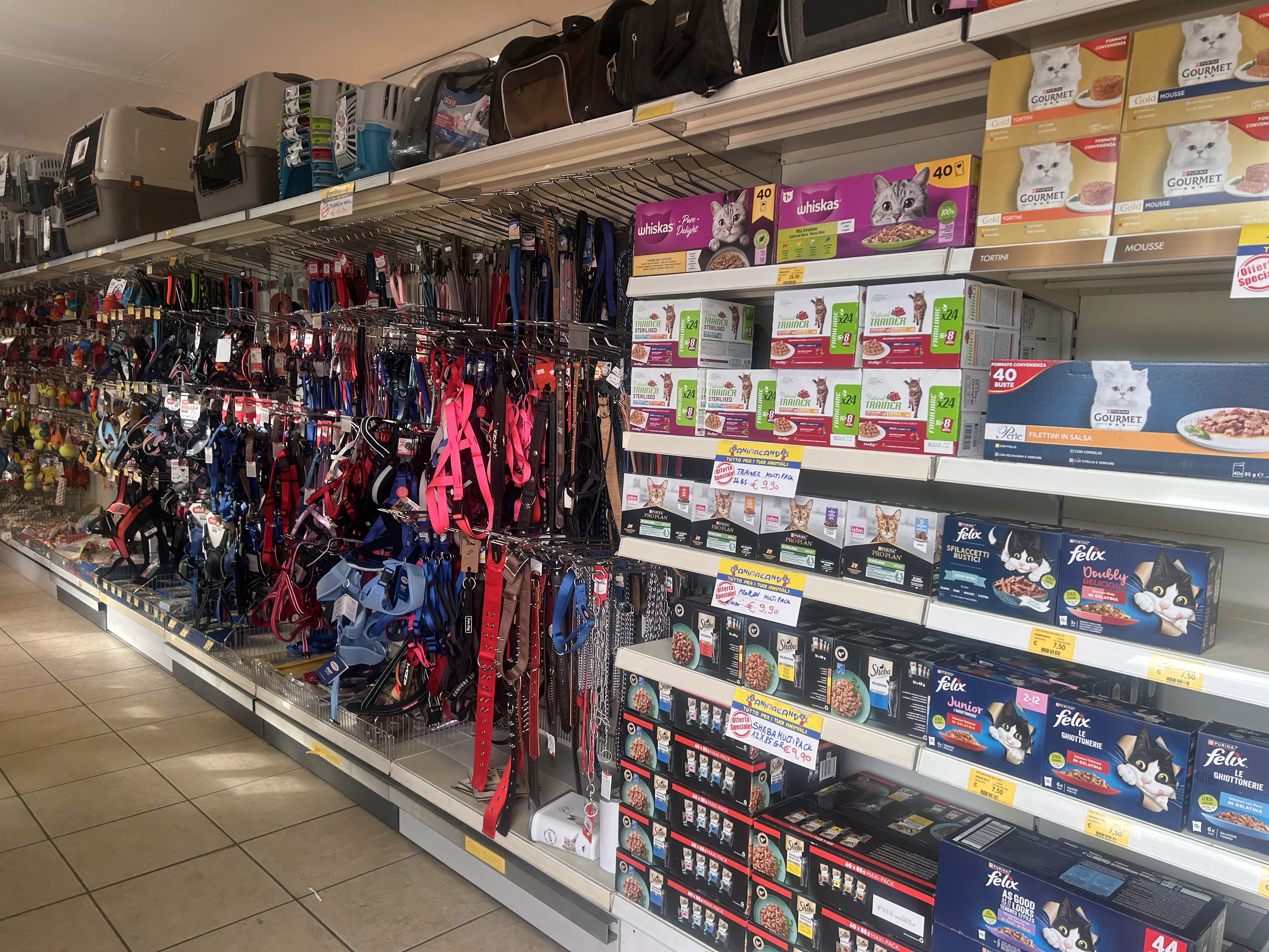 /api/file/public/264494/26175