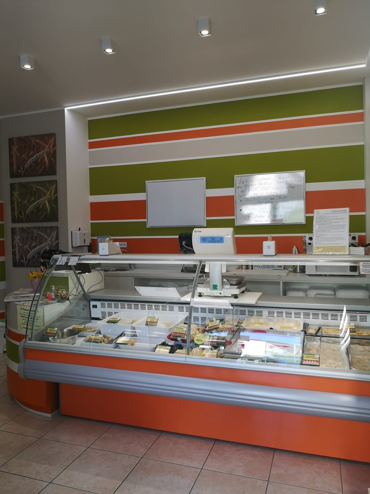 /api/file/public/264498/26183