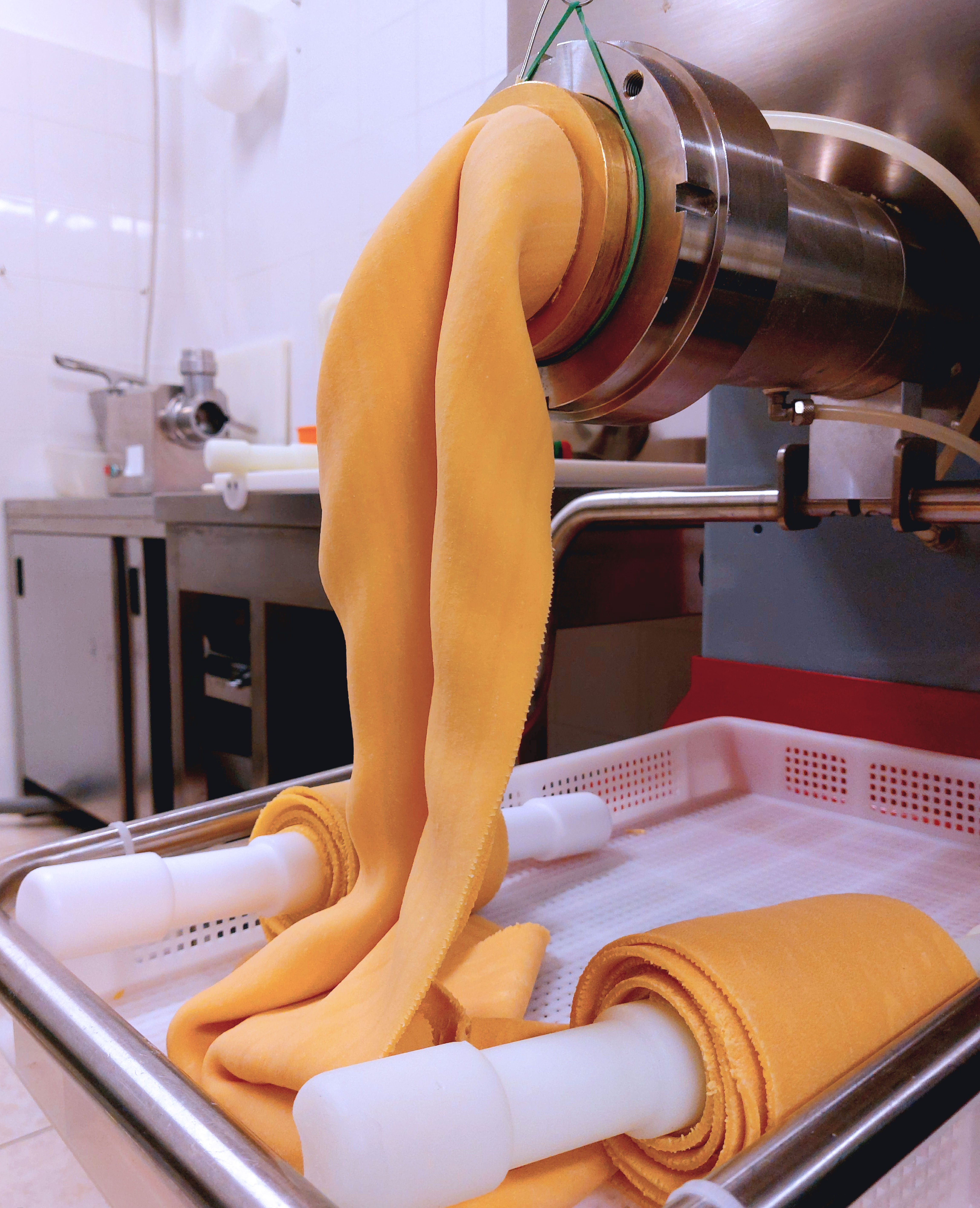 /api/file/public/264498/26188