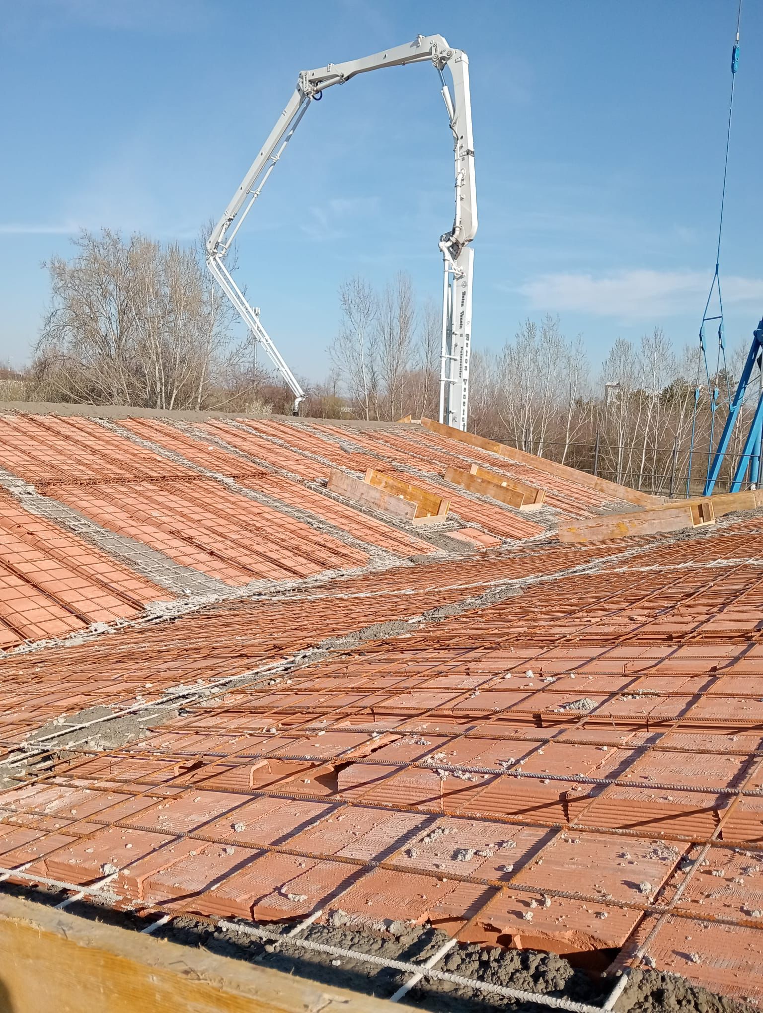 /api/file/public/264508/26239