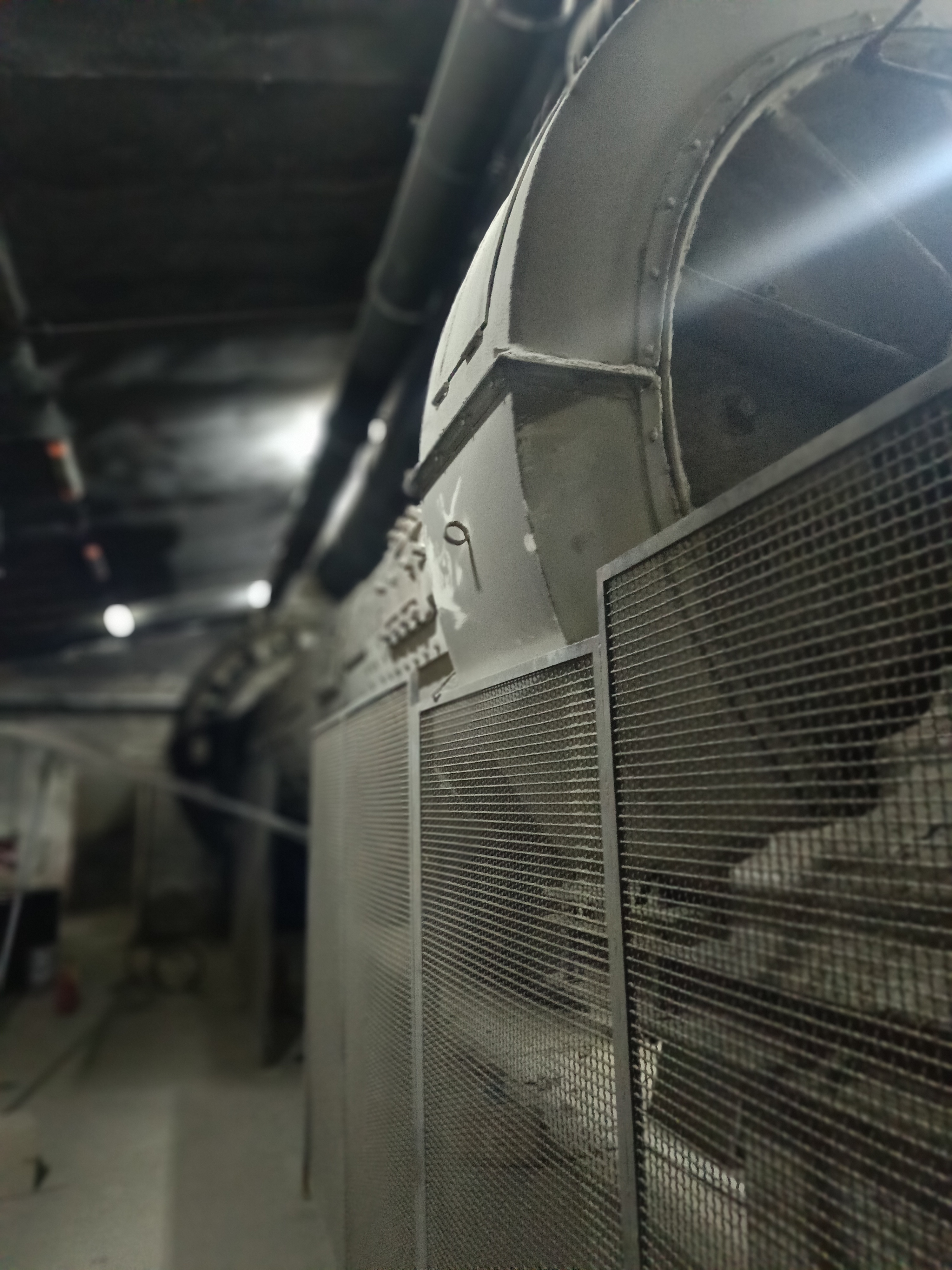 /api/file/public/264512/26263