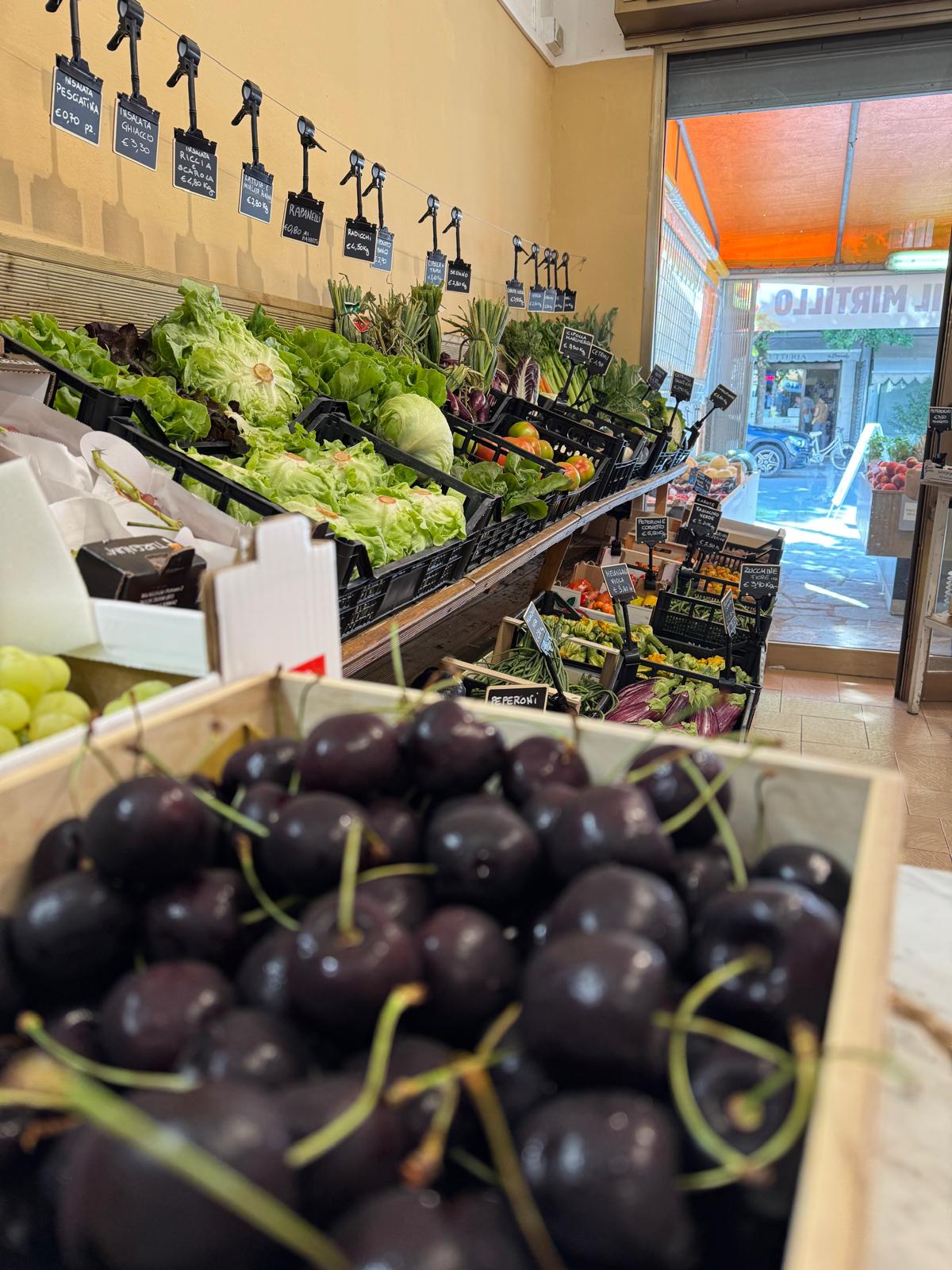 /api/file/public/264557/26427