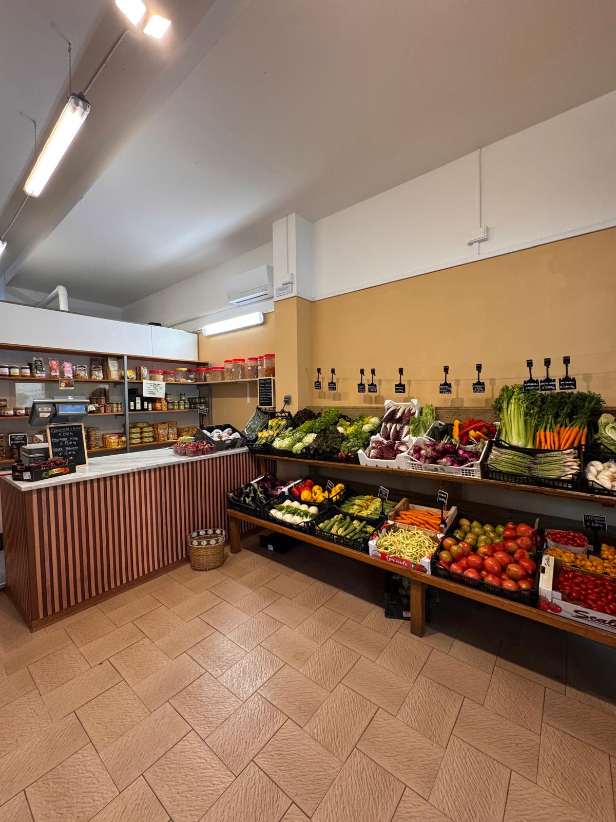 /api/file/public/264557/26431