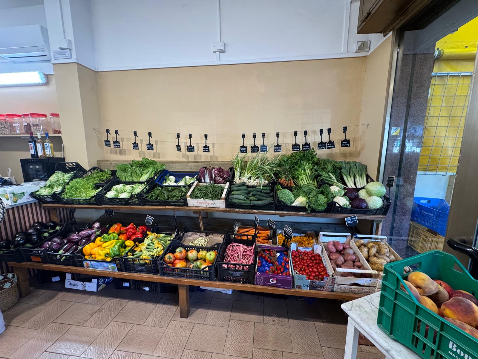 /api/file/public/264557/26432