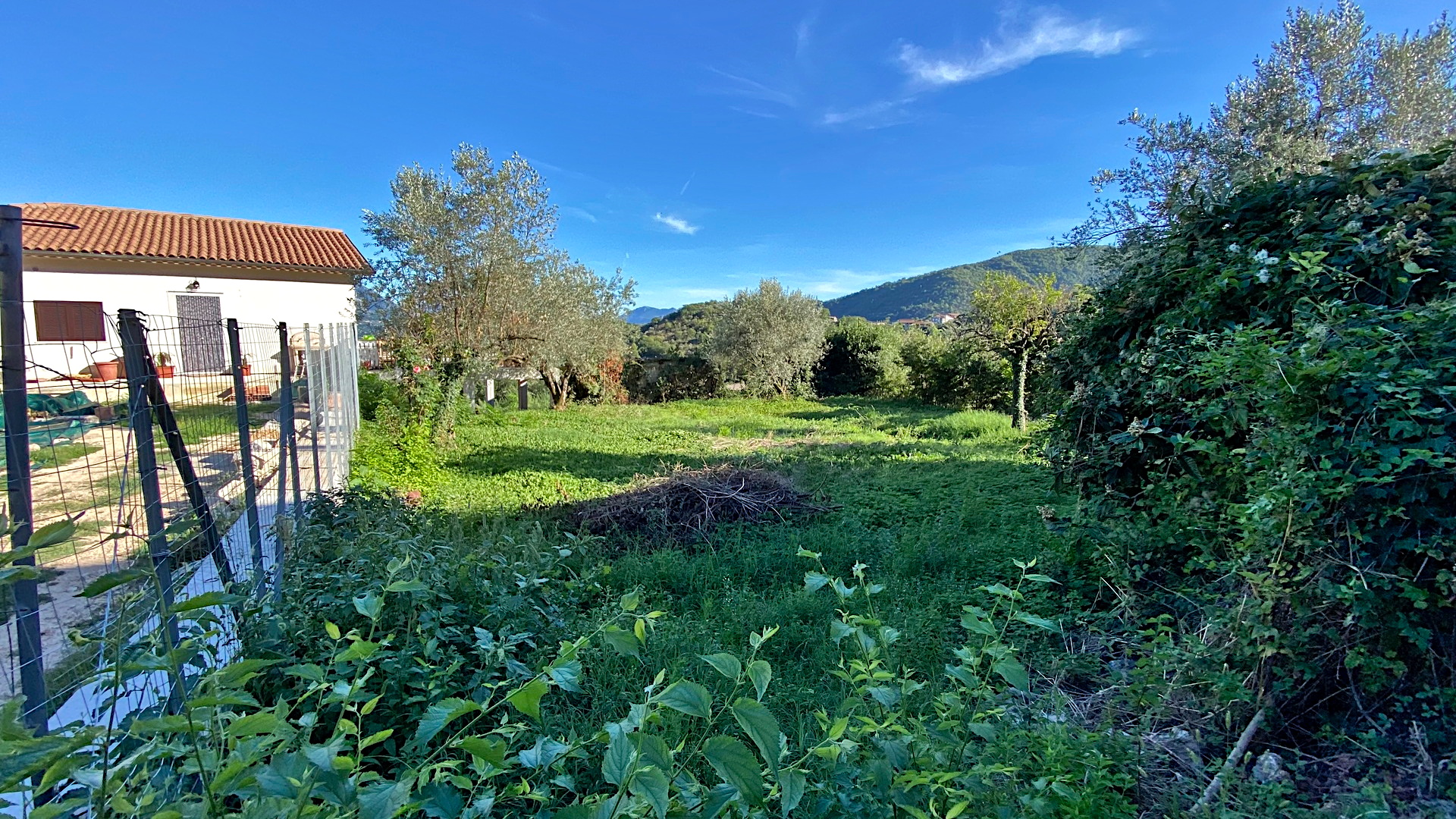 /api/file/public/264693/26629