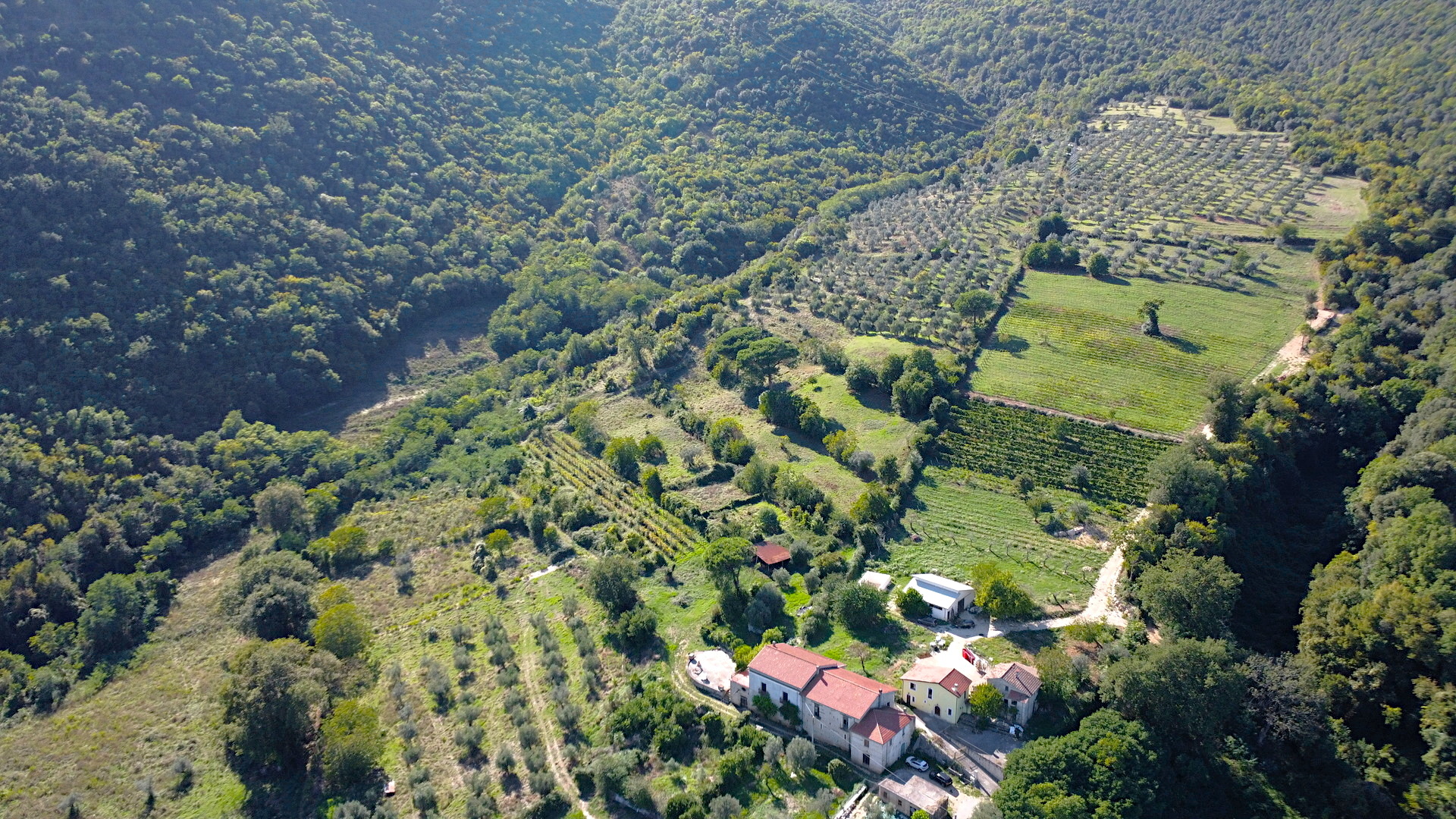 /api/file/public/264693/26632