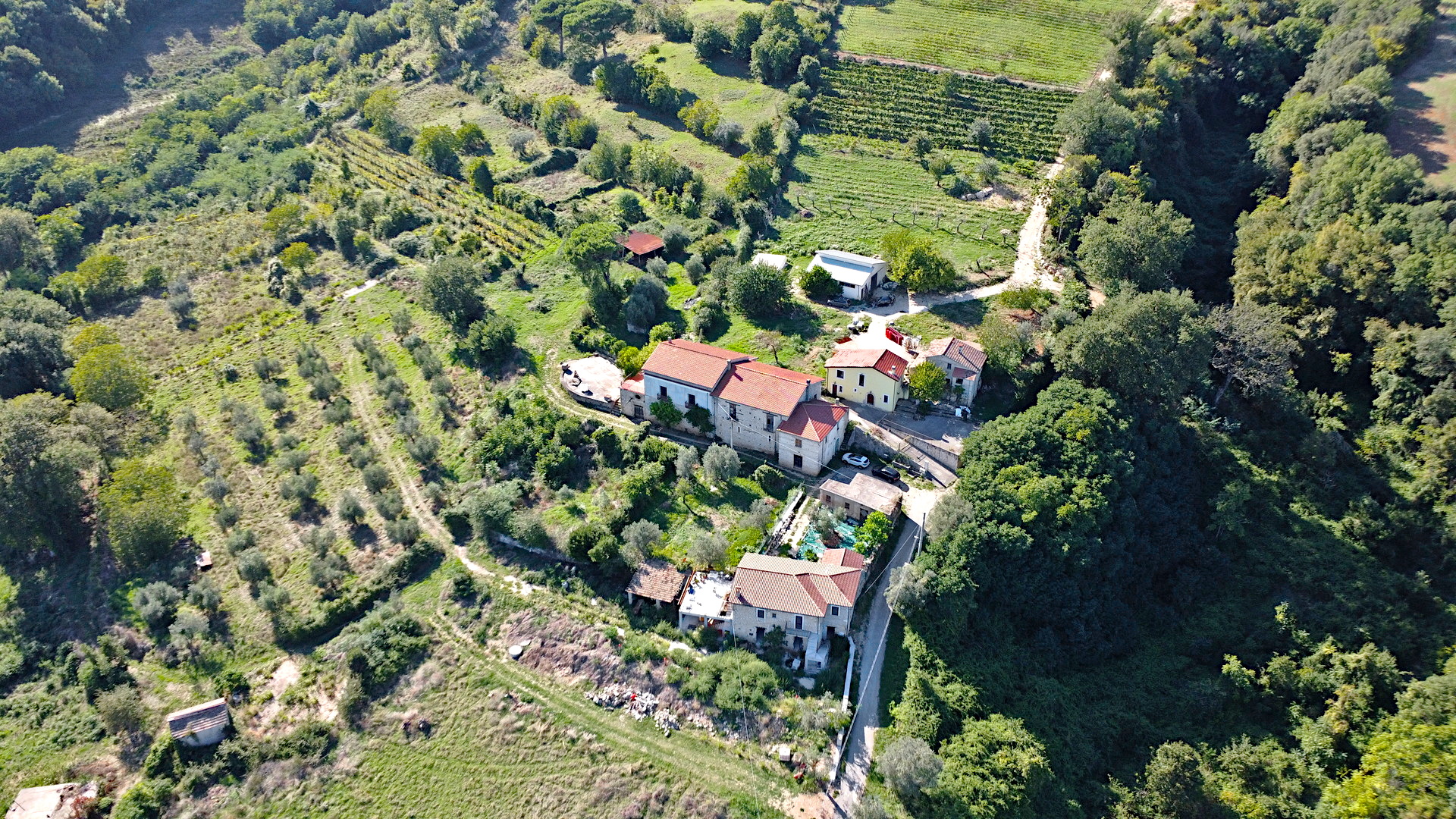 /api/file/public/264693/26636