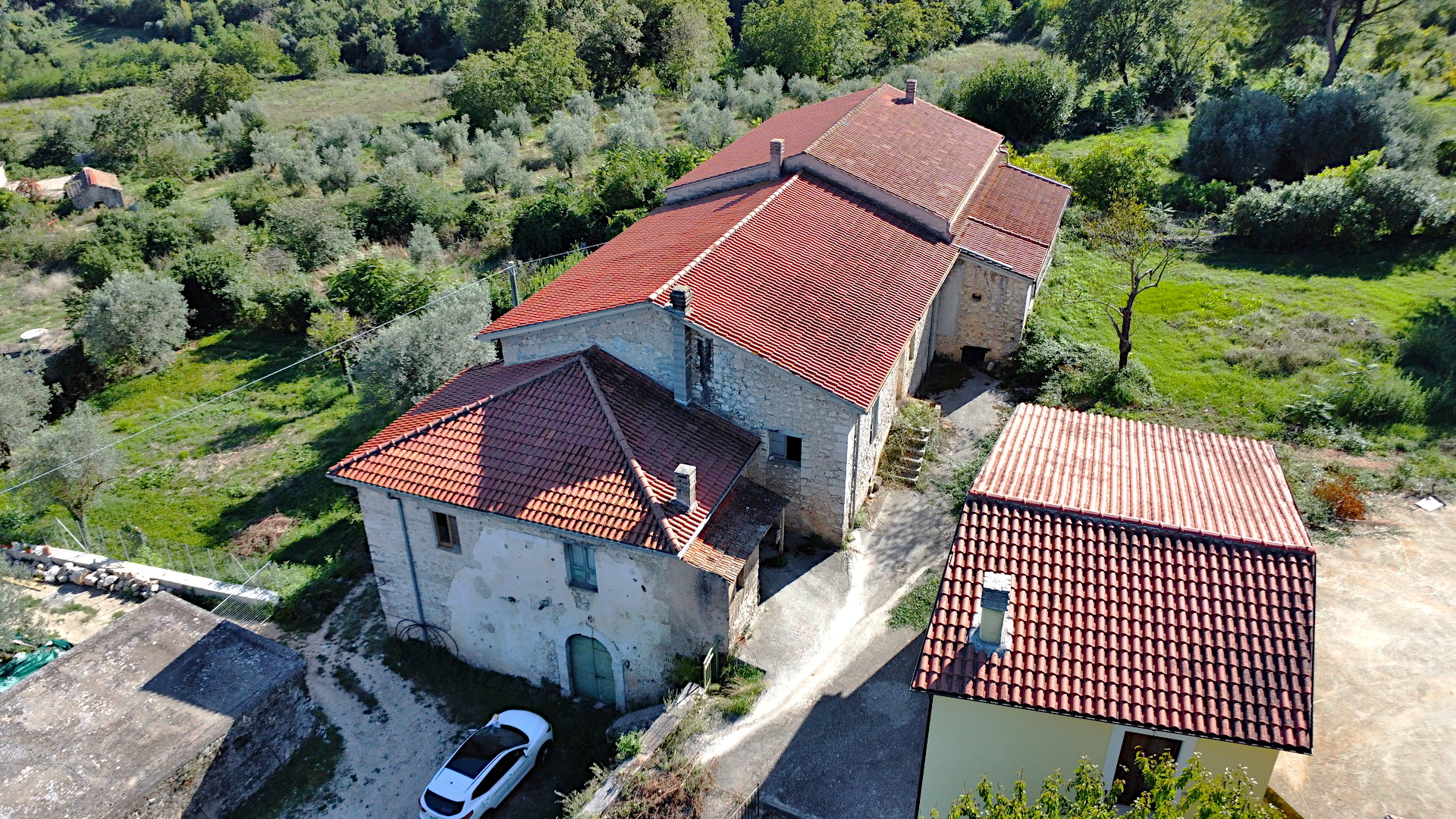 /api/file/public/264693/26637