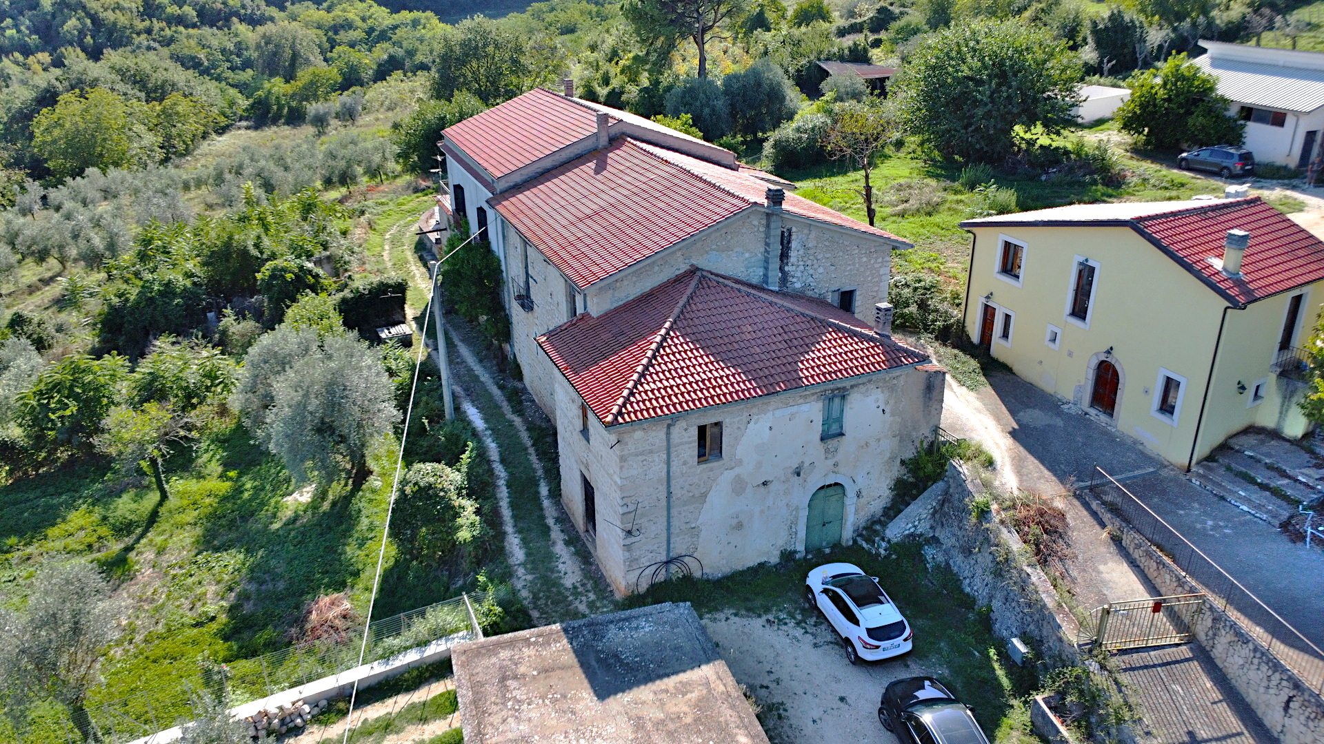 /api/file/public/264693/26638