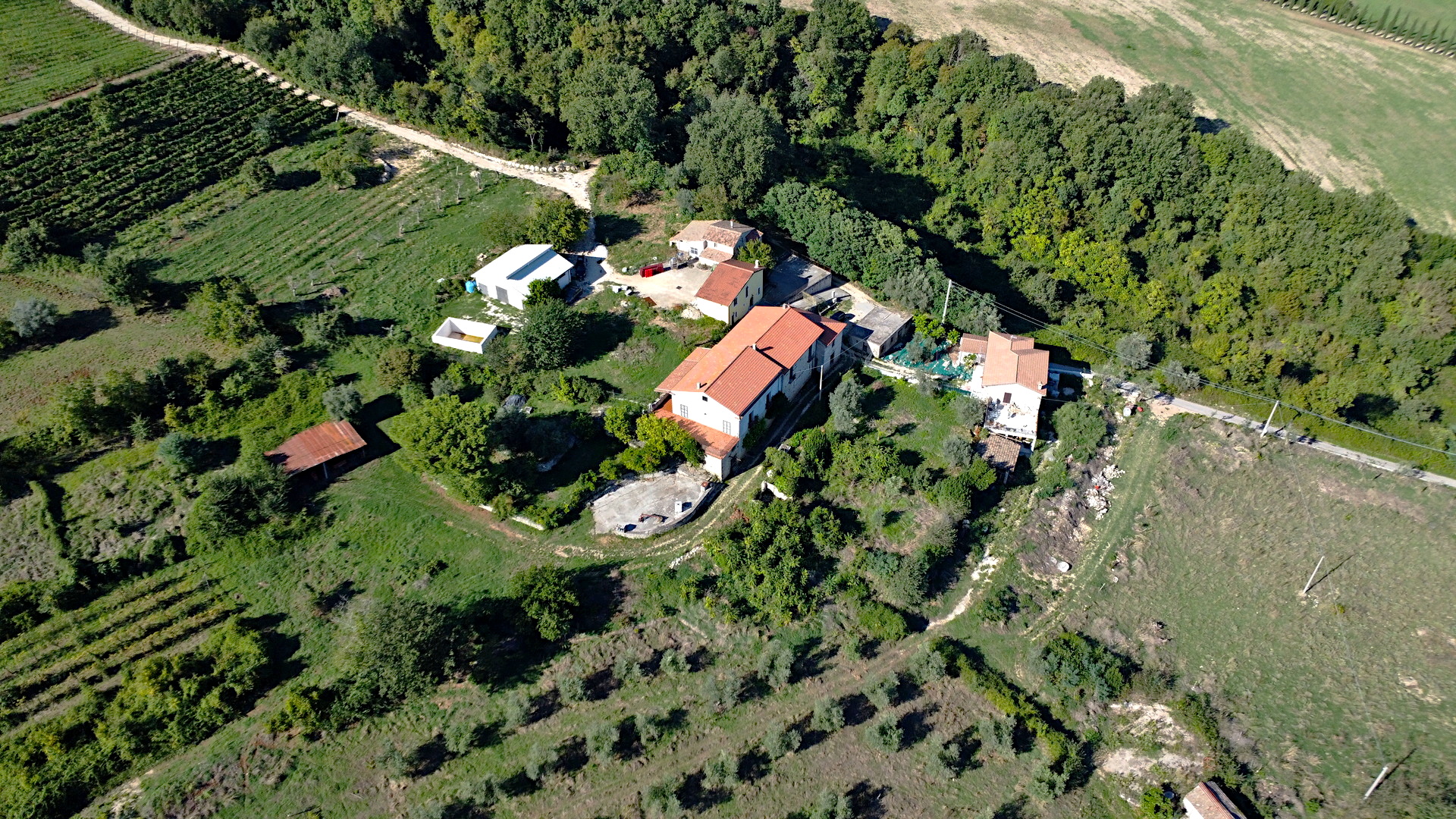 /api/file/public/264693/26639