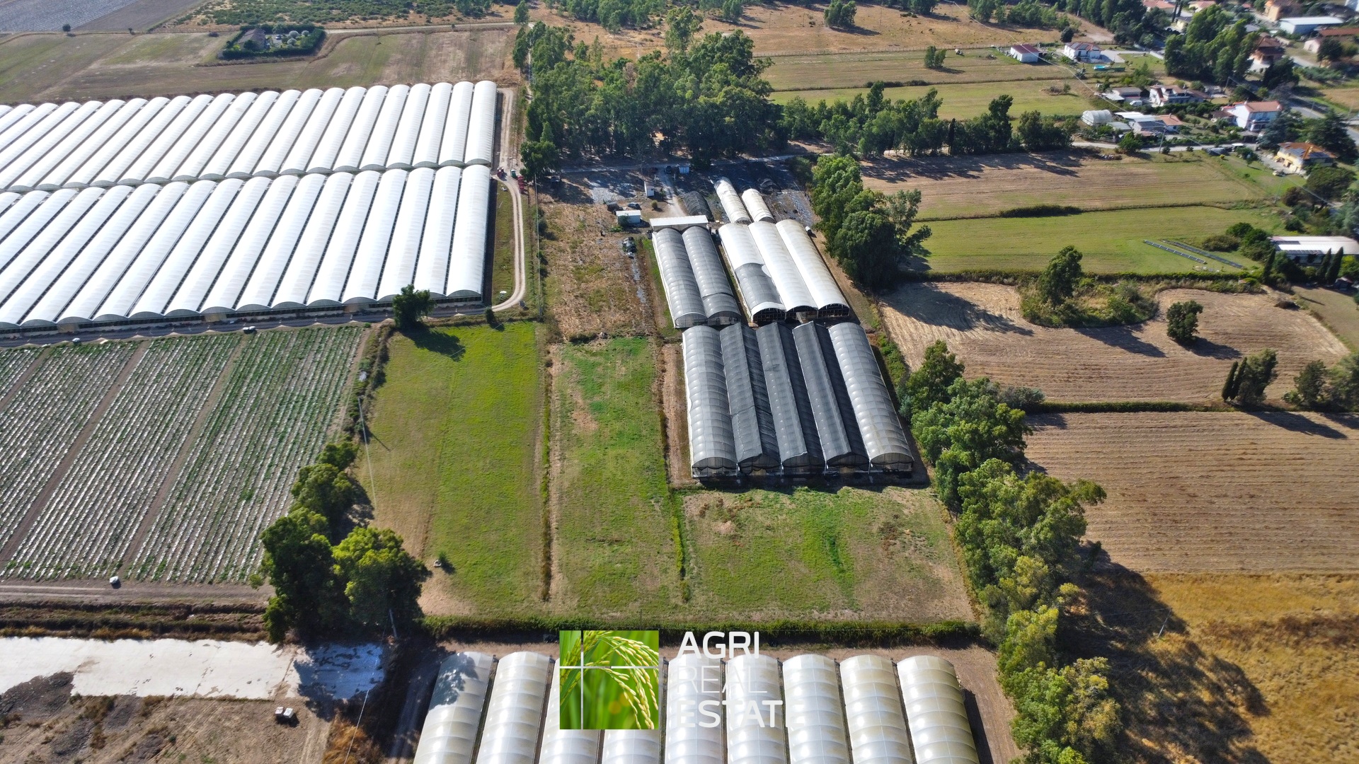 /api/file/public/264694/26642