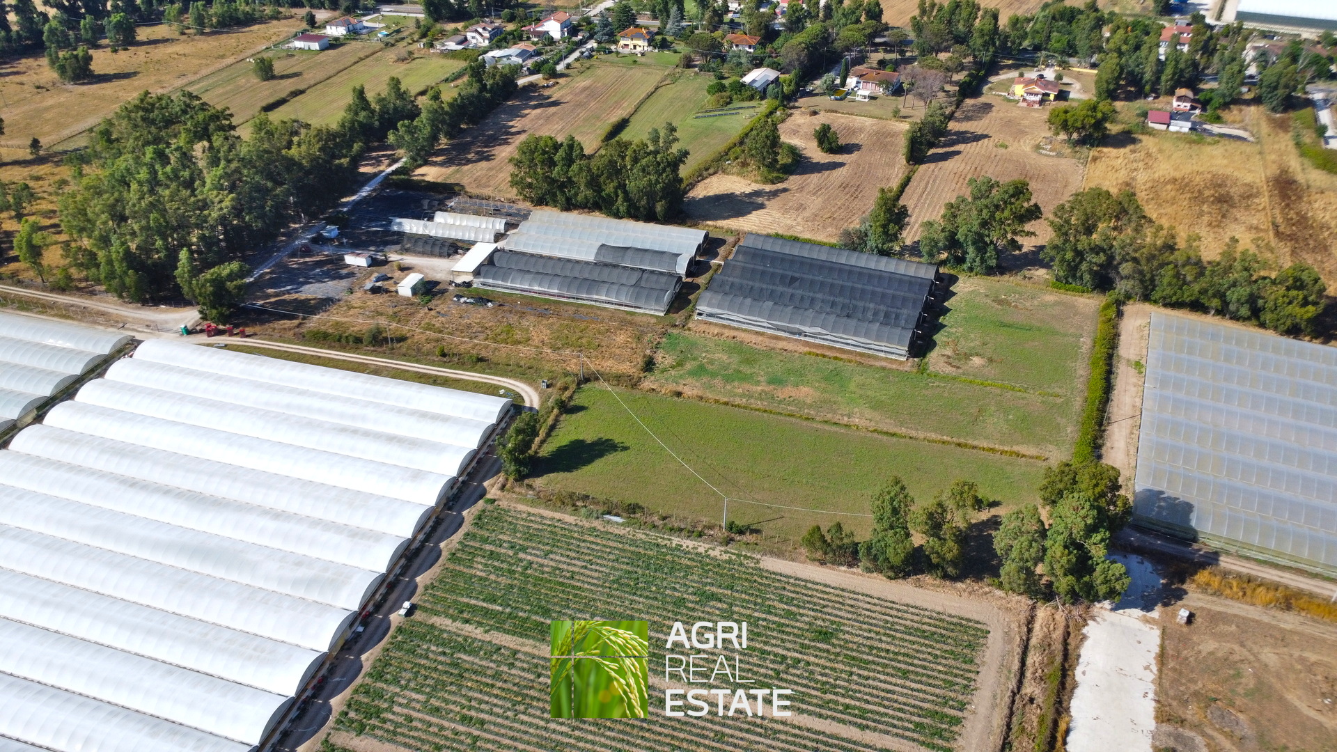 /api/file/public/264694/26643