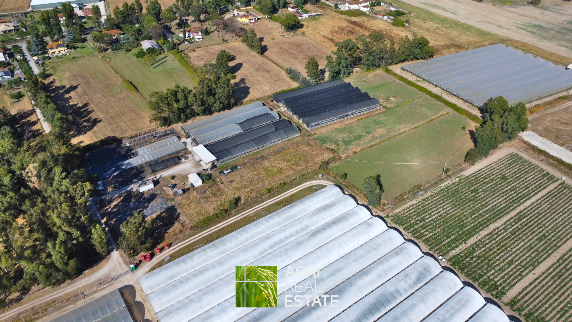 /api/file/public/264694/26644