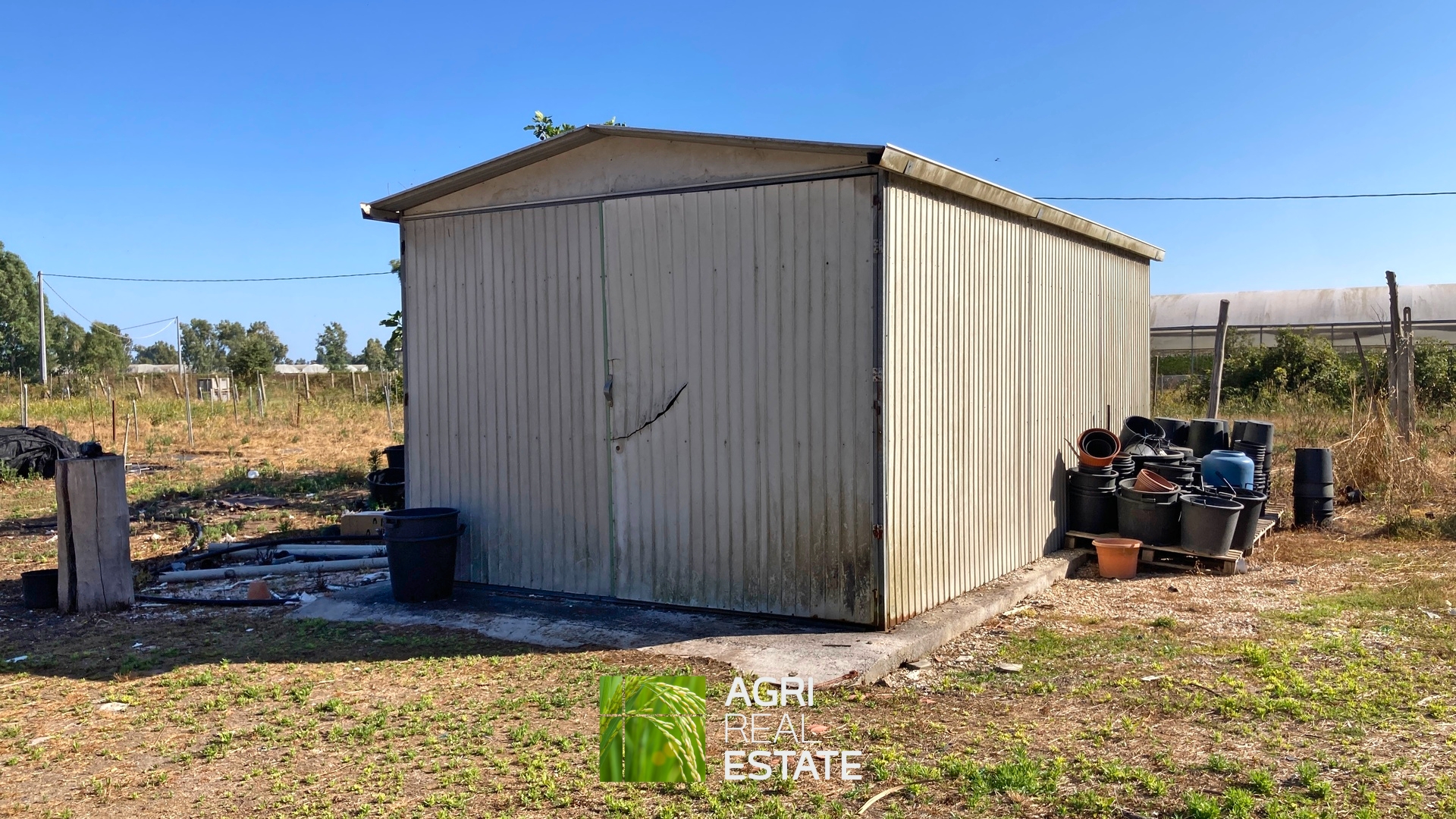 /api/file/public/264694/26645