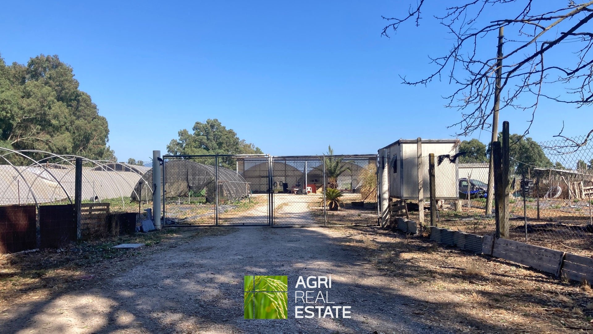 /api/file/public/264694/26646