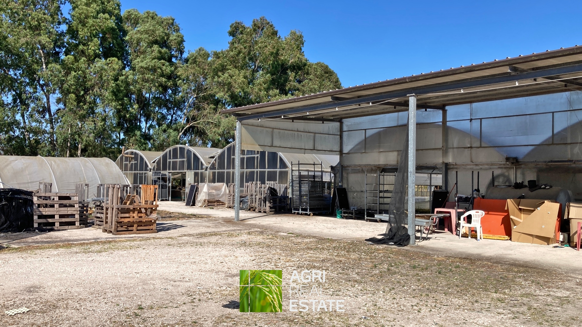 /api/file/public/264694/26647