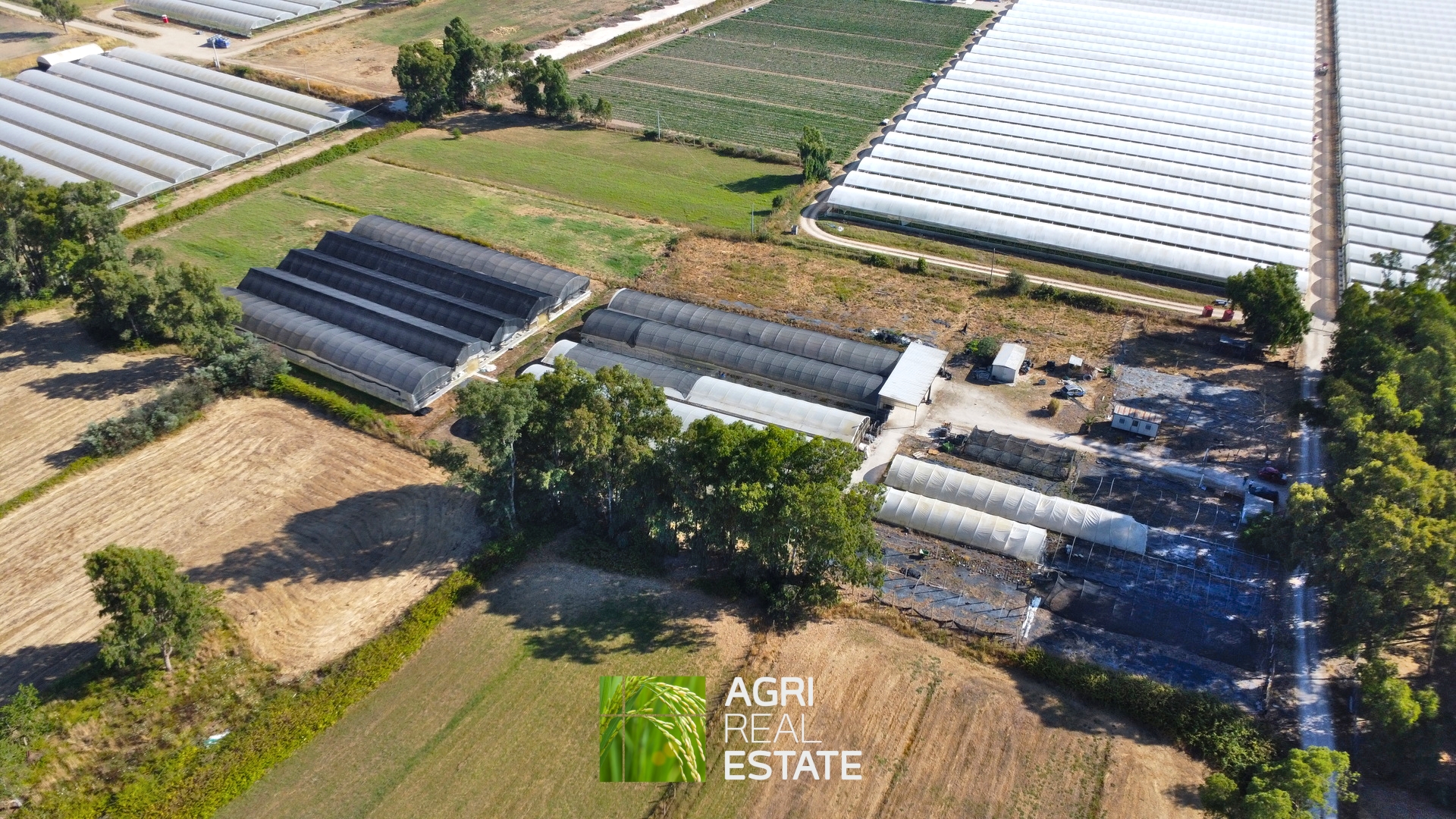 /api/file/public/264694/26648