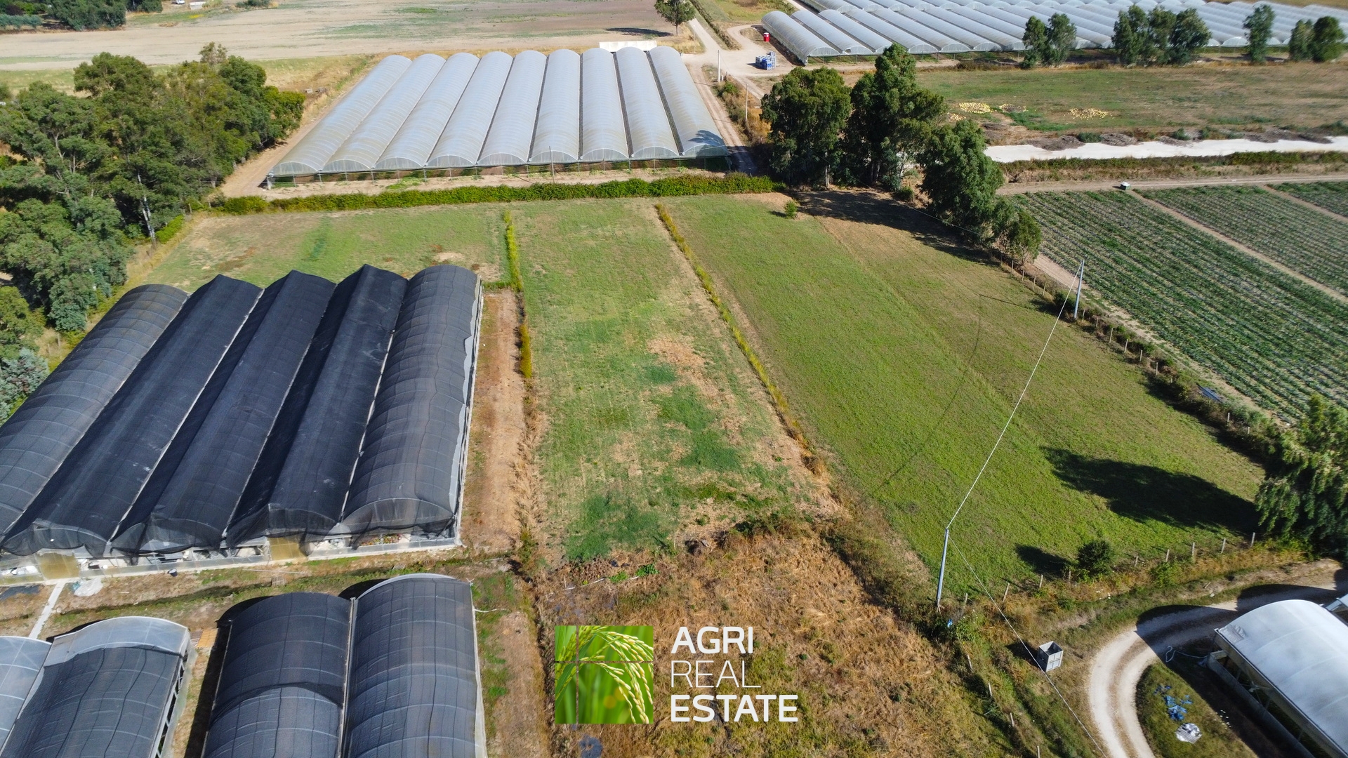 /api/file/public/264694/26649