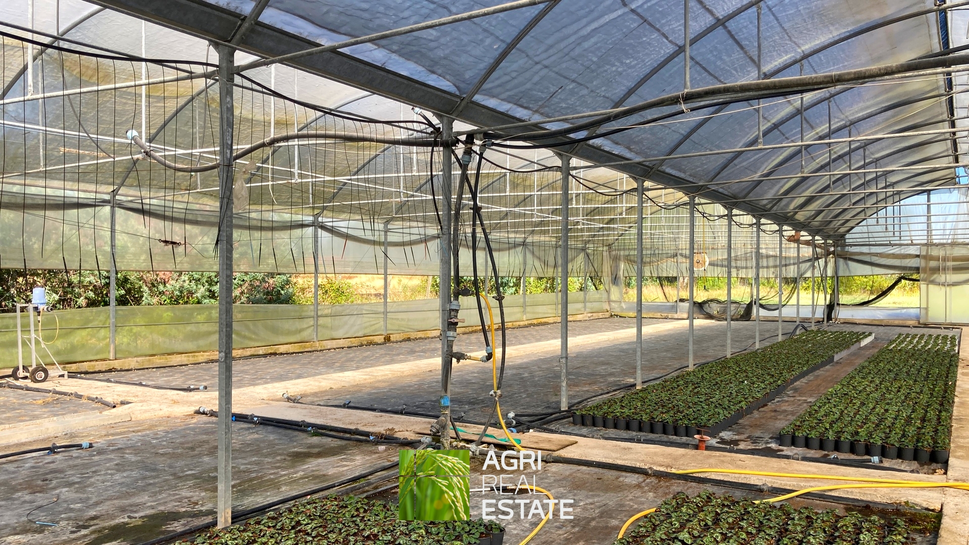 /api/file/public/264694/26650