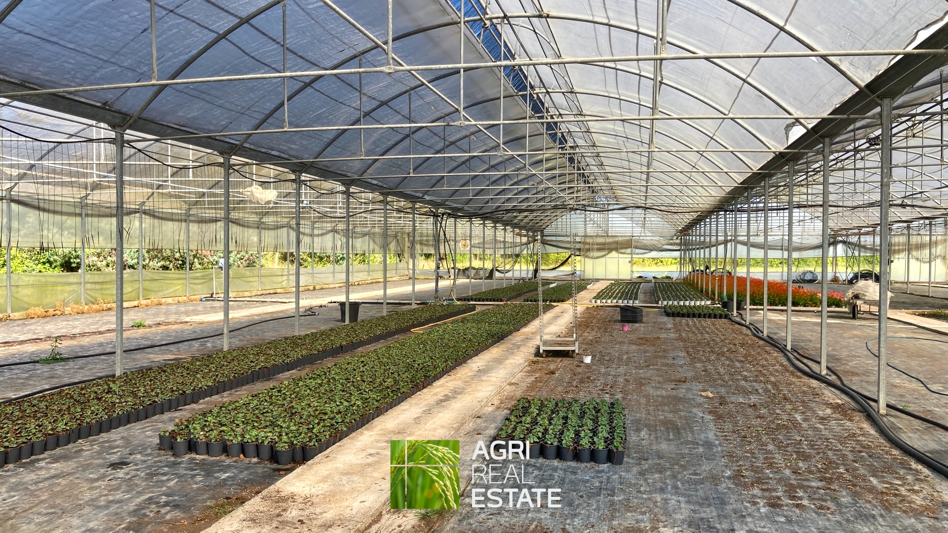 /api/file/public/264694/26651