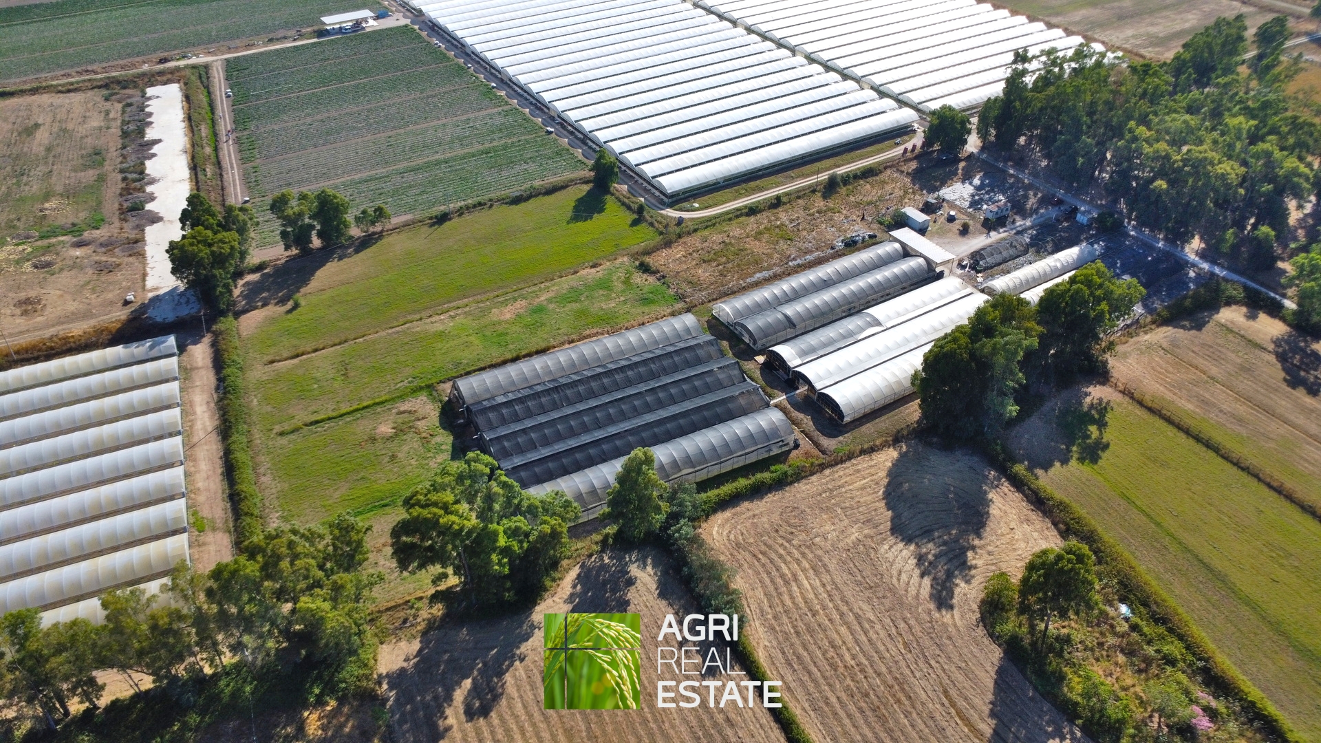 /api/file/public/264694/26652