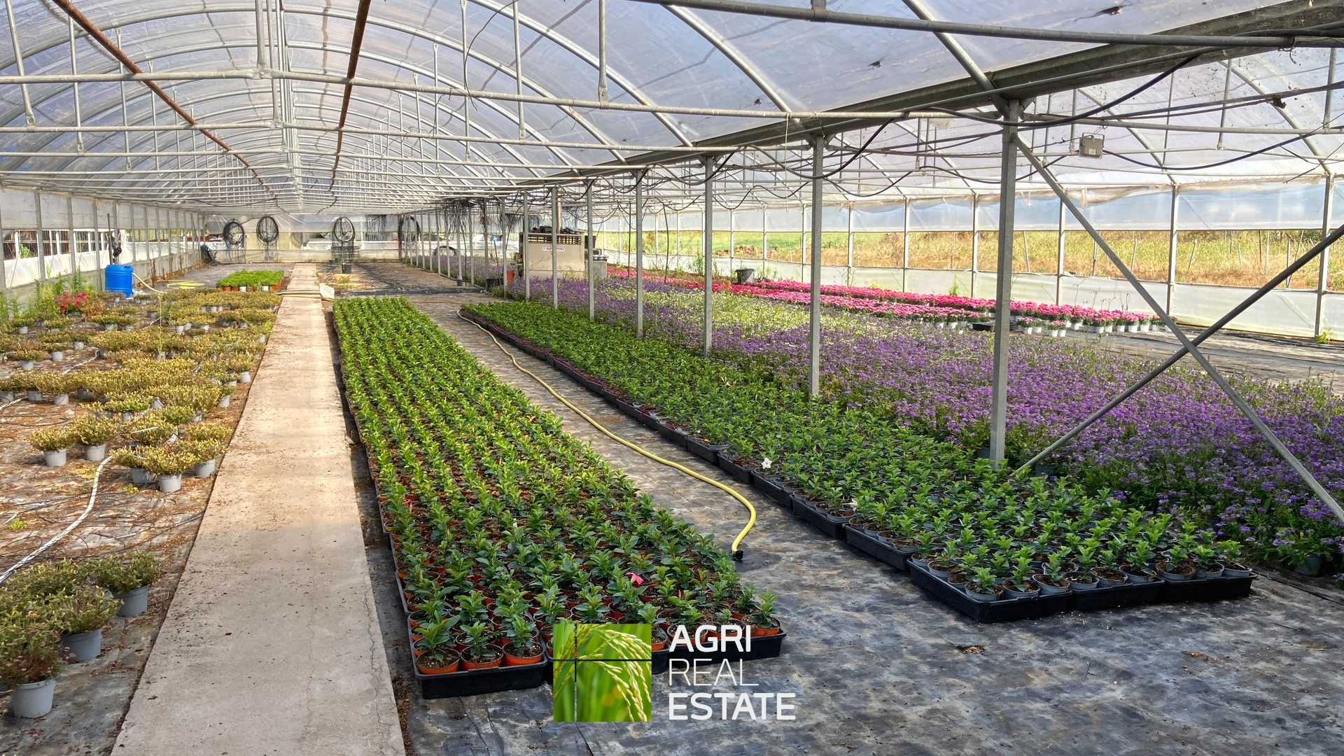 /api/file/public/264694/26653