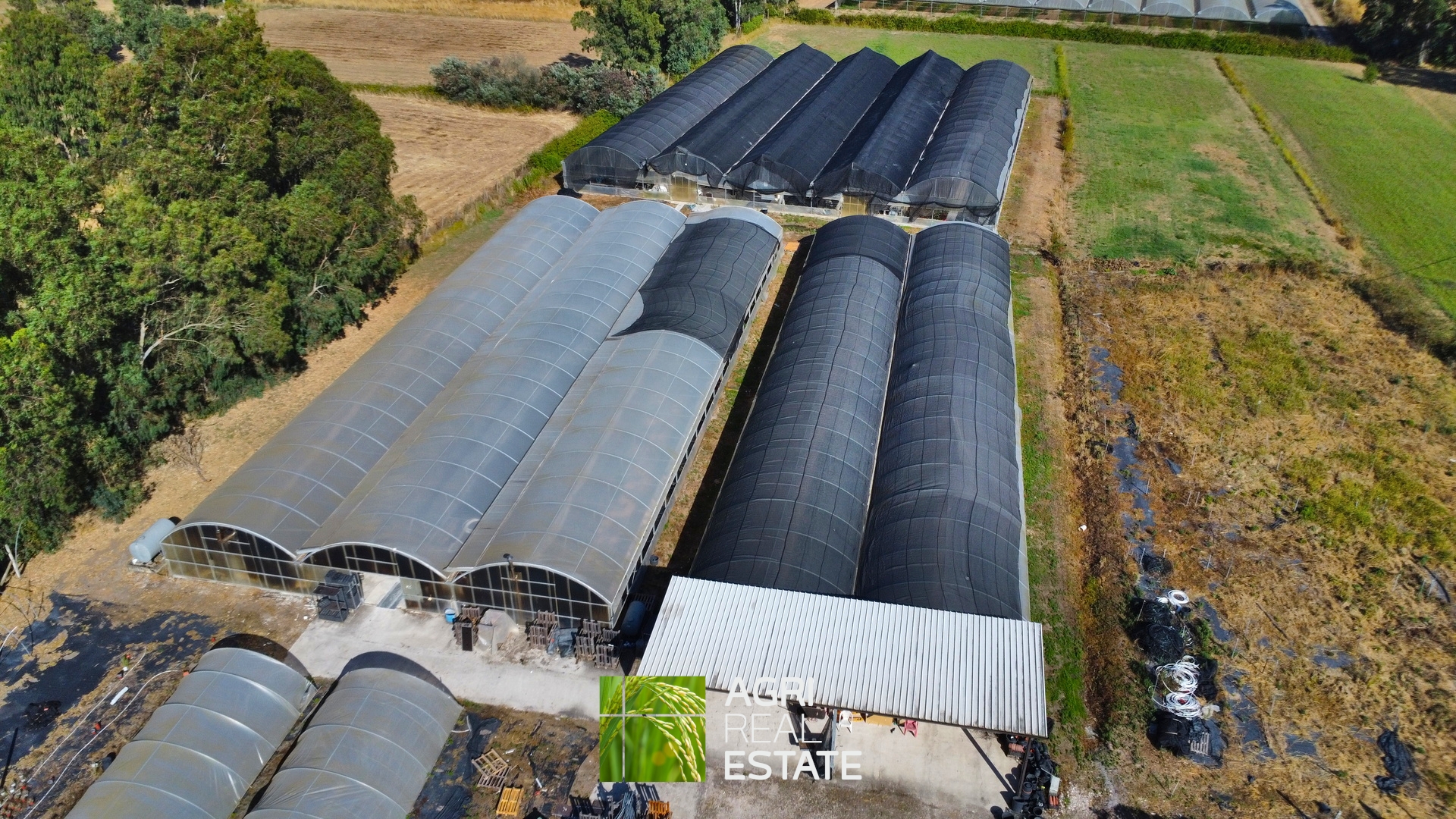 /api/file/public/264694/26654