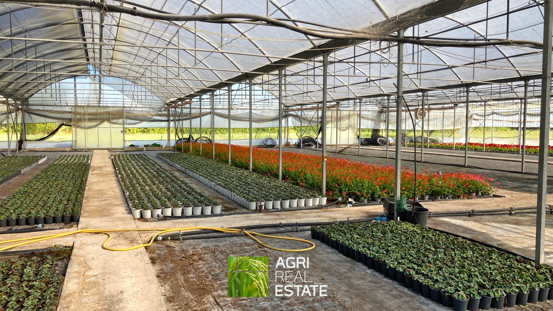 /api/file/public/264694/26655