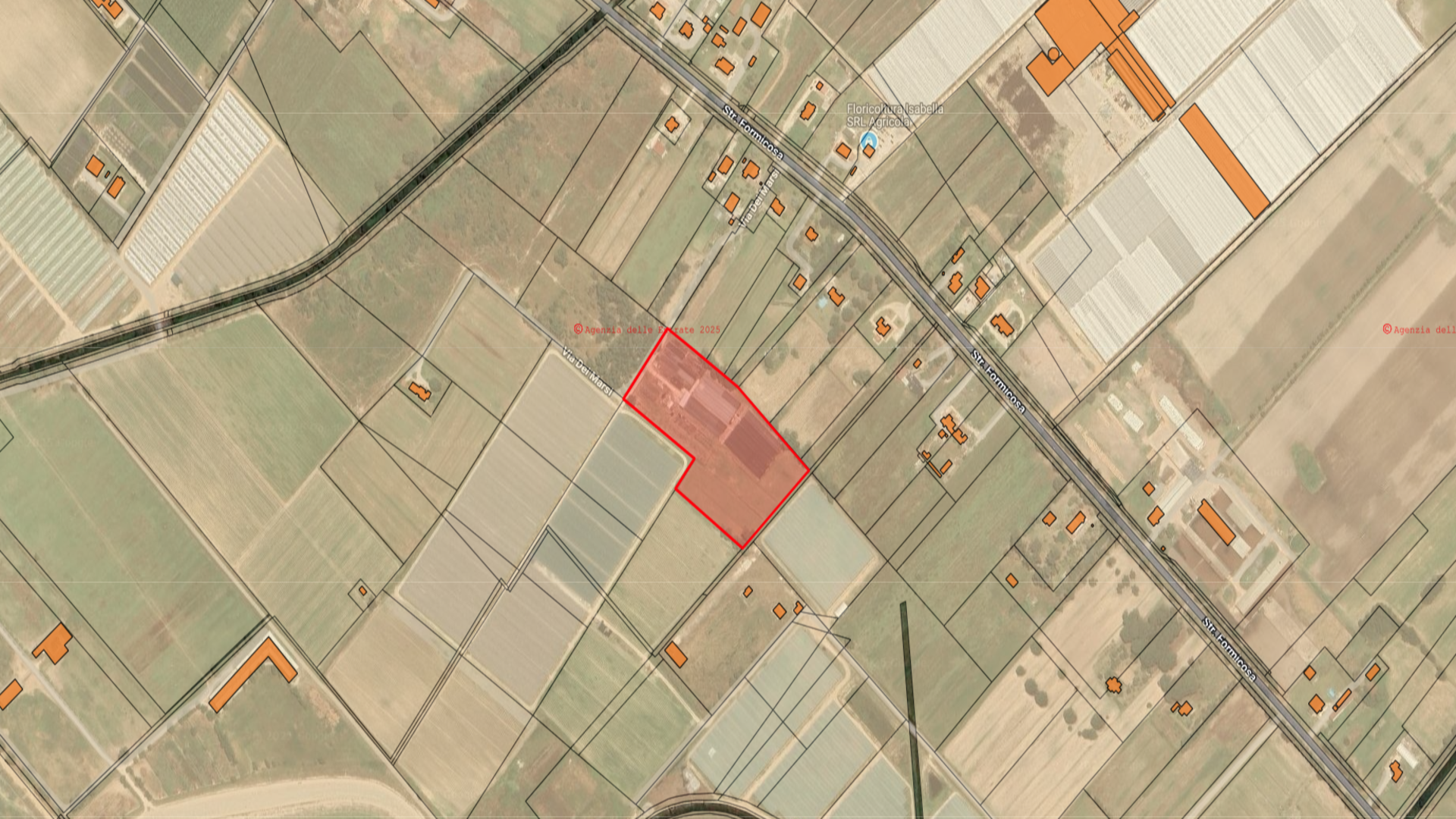 /api/file/public/264694/26657