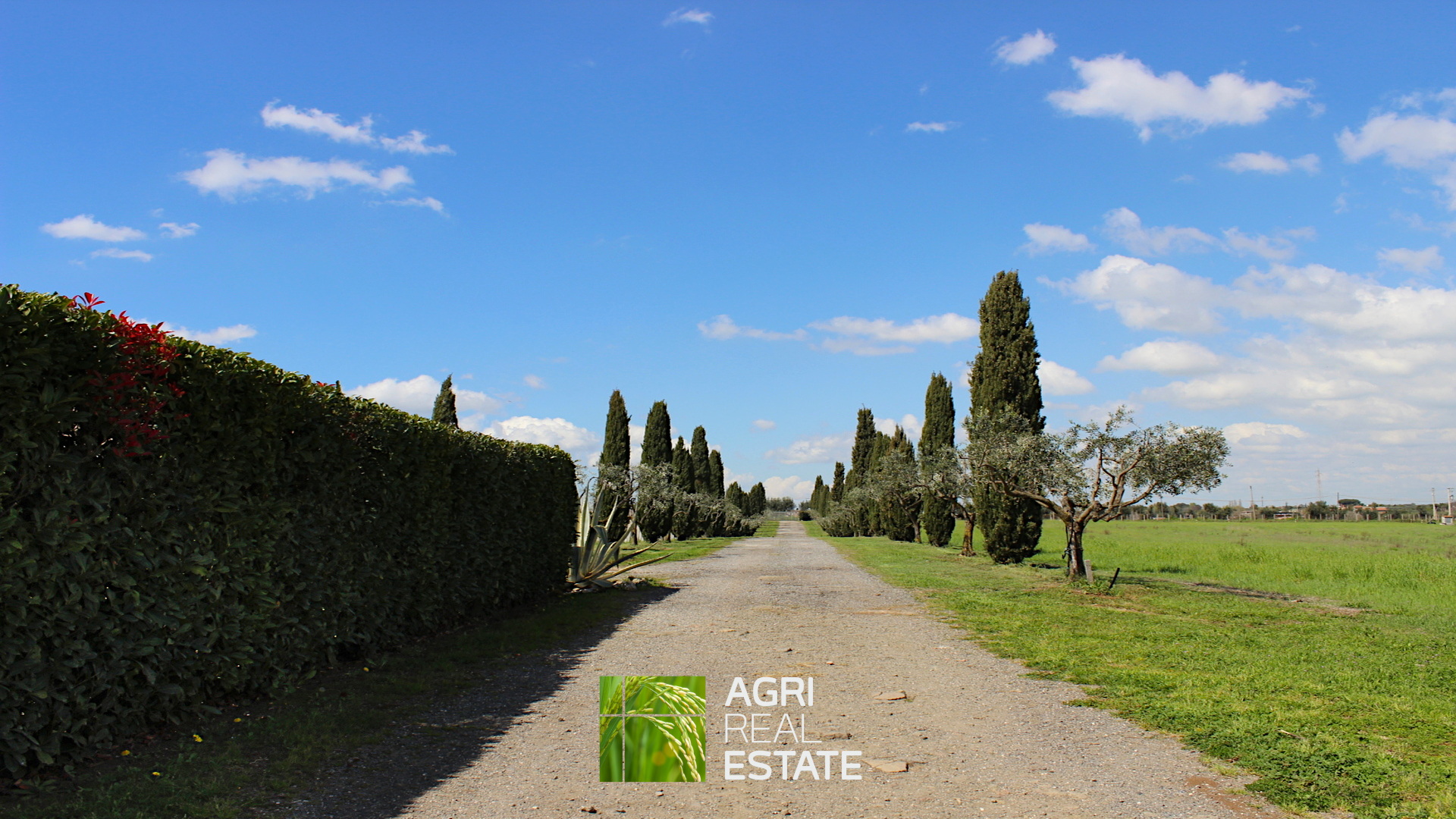 /api/file/public/264713/27129