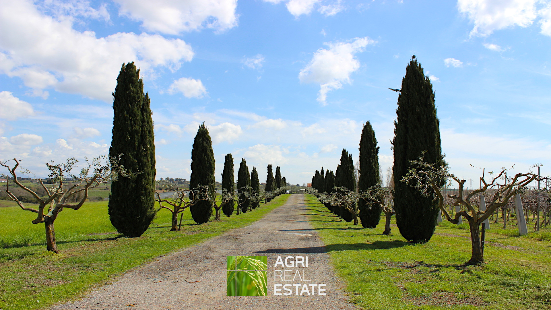 /api/file/public/264713/27133