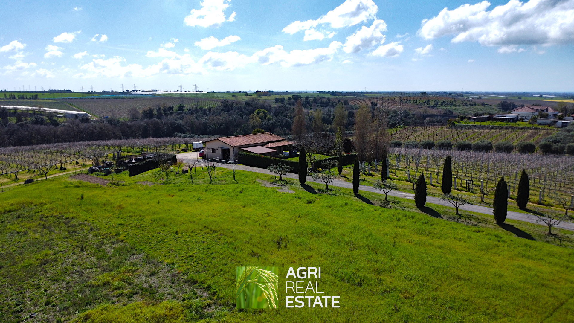 /api/file/public/264713/27138