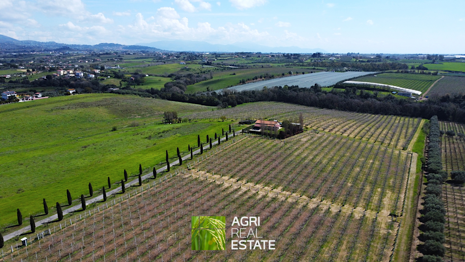 /api/file/public/264713/27139