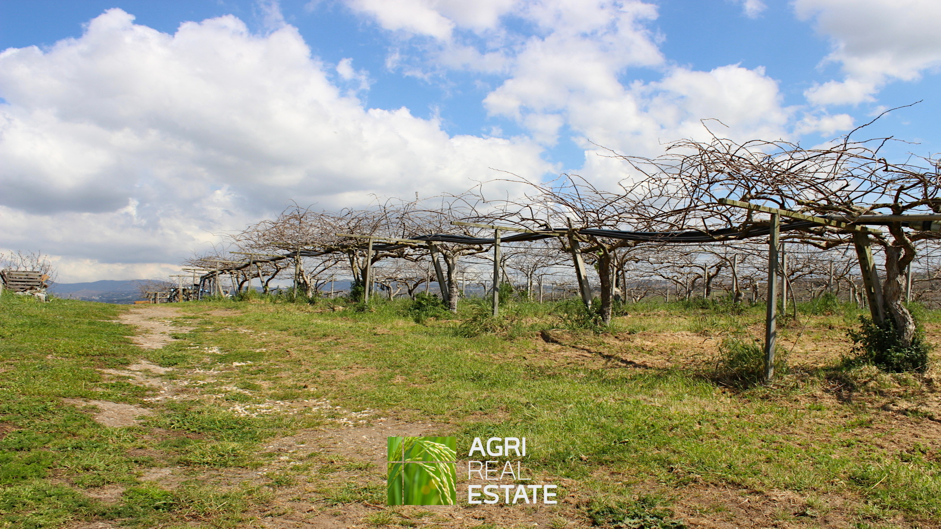 /api/file/public/264713/27142